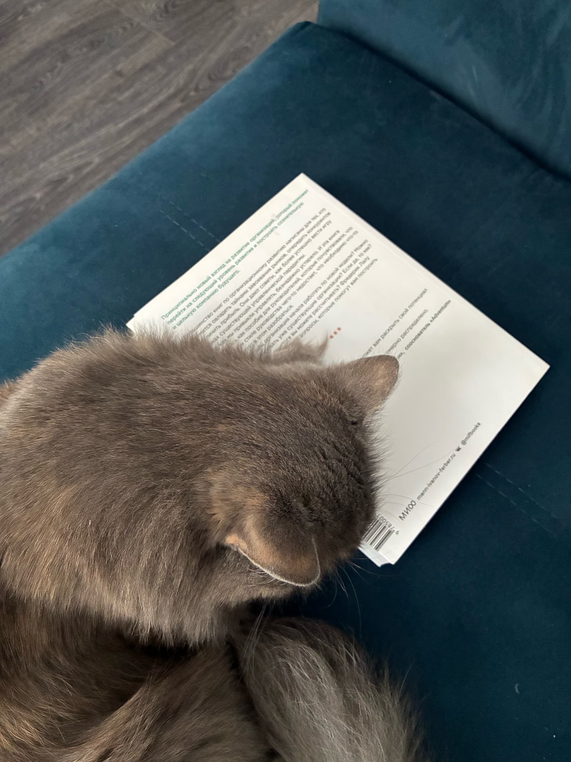 slide-c8e70005-1fe1-446f-9621-06c20681d2c5