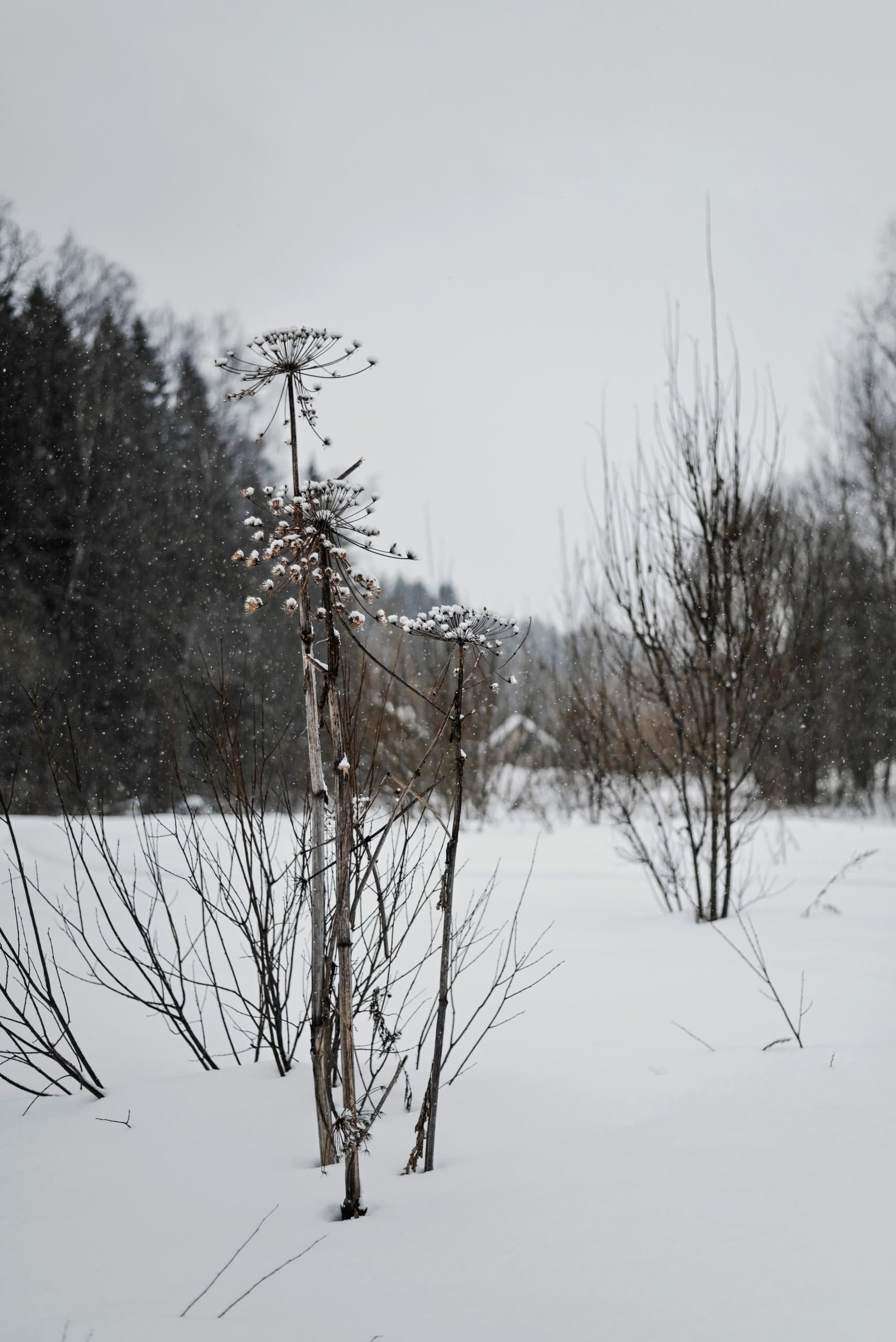 slide-cc42229c-f595-4b33-b63e-9fb2455cc850