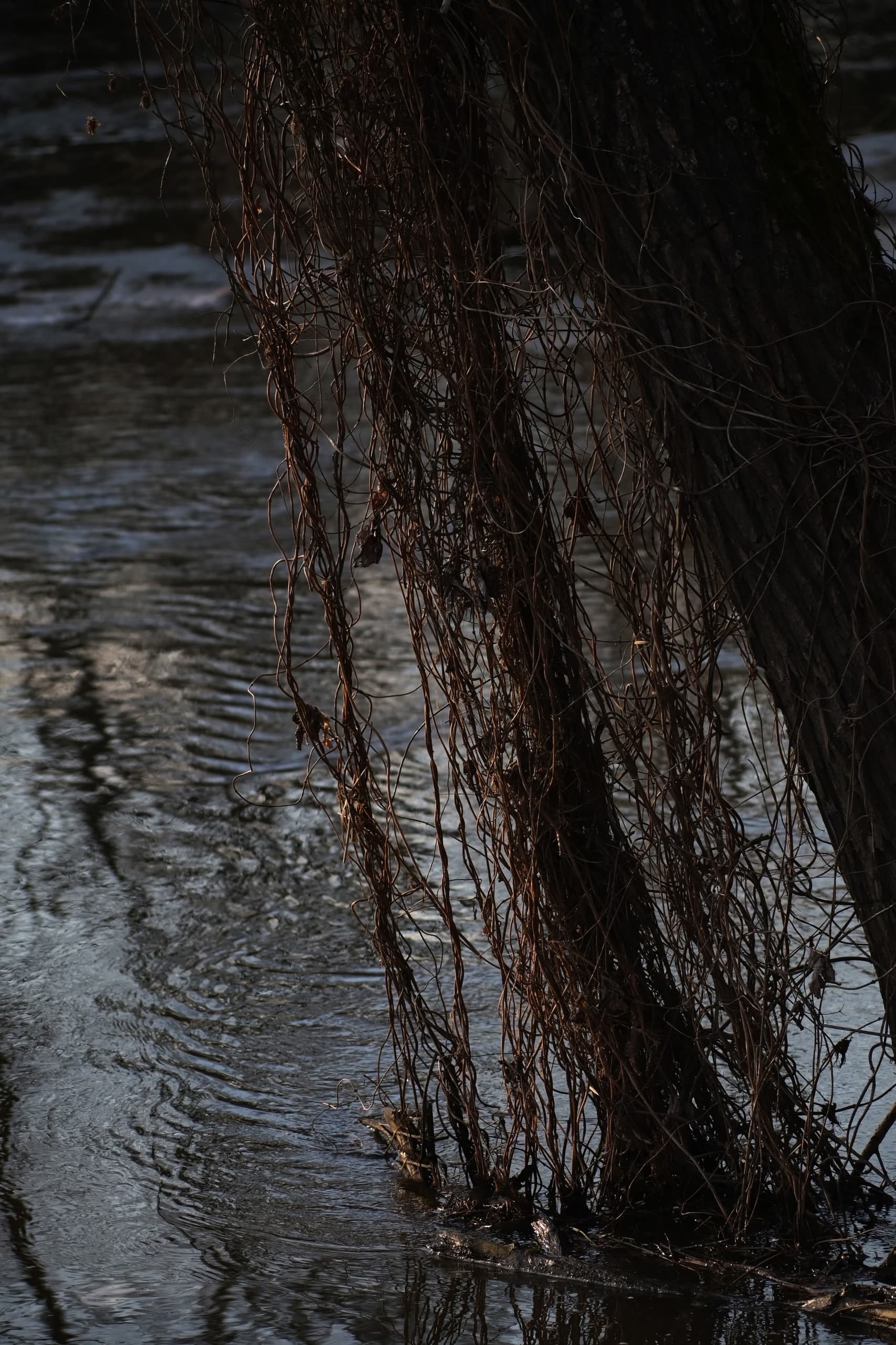 slide-cd2a7923-c833-48d9-a62c-d77d80f5752c