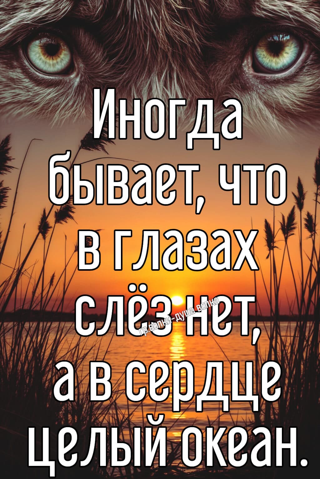 slide-ce17e24a-1df2-4e2b-9bd1-5b4af5c15c72