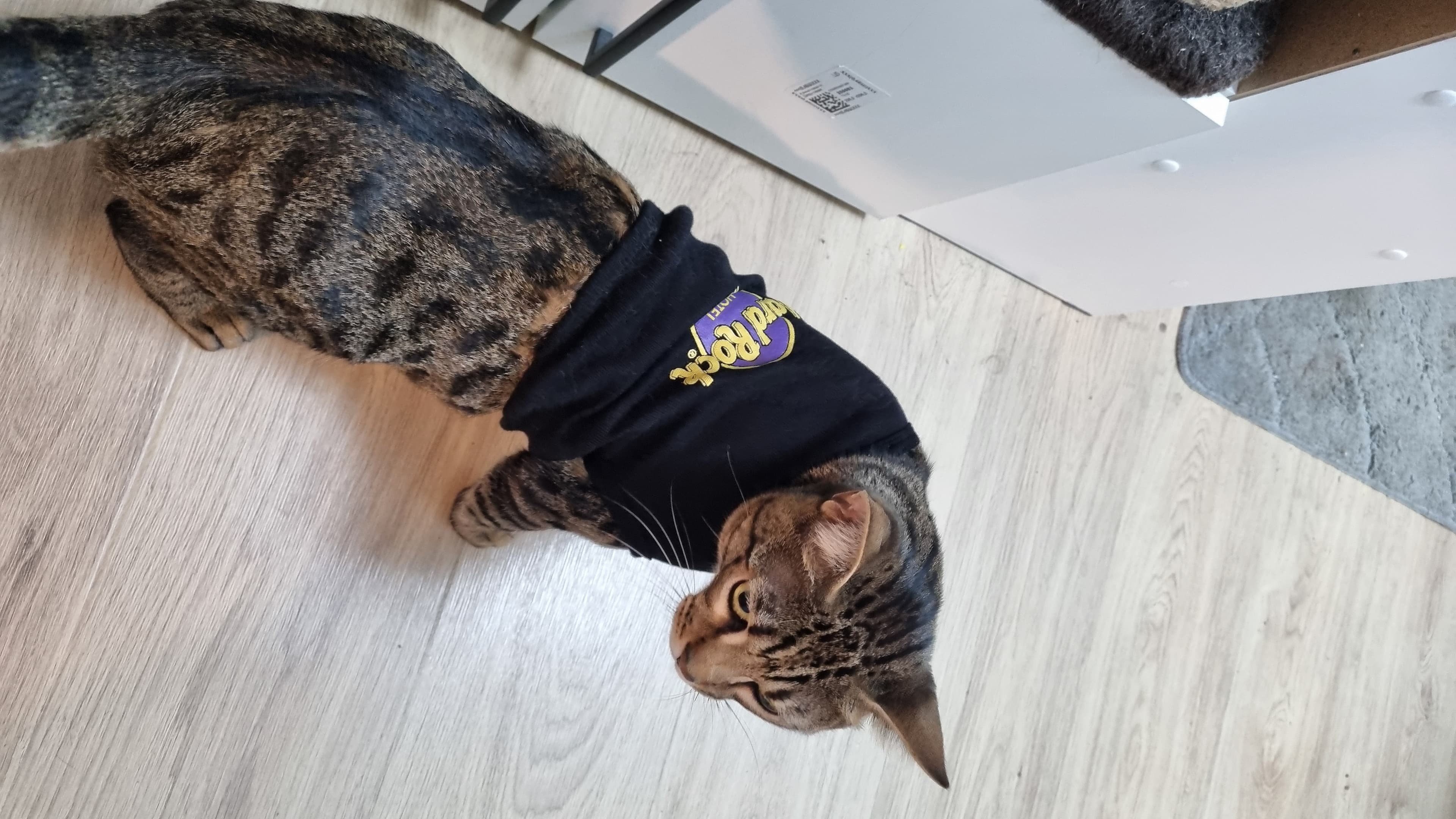 slide-ce51dc74-ae9e-4c3e-aece-6d41cfc5c861