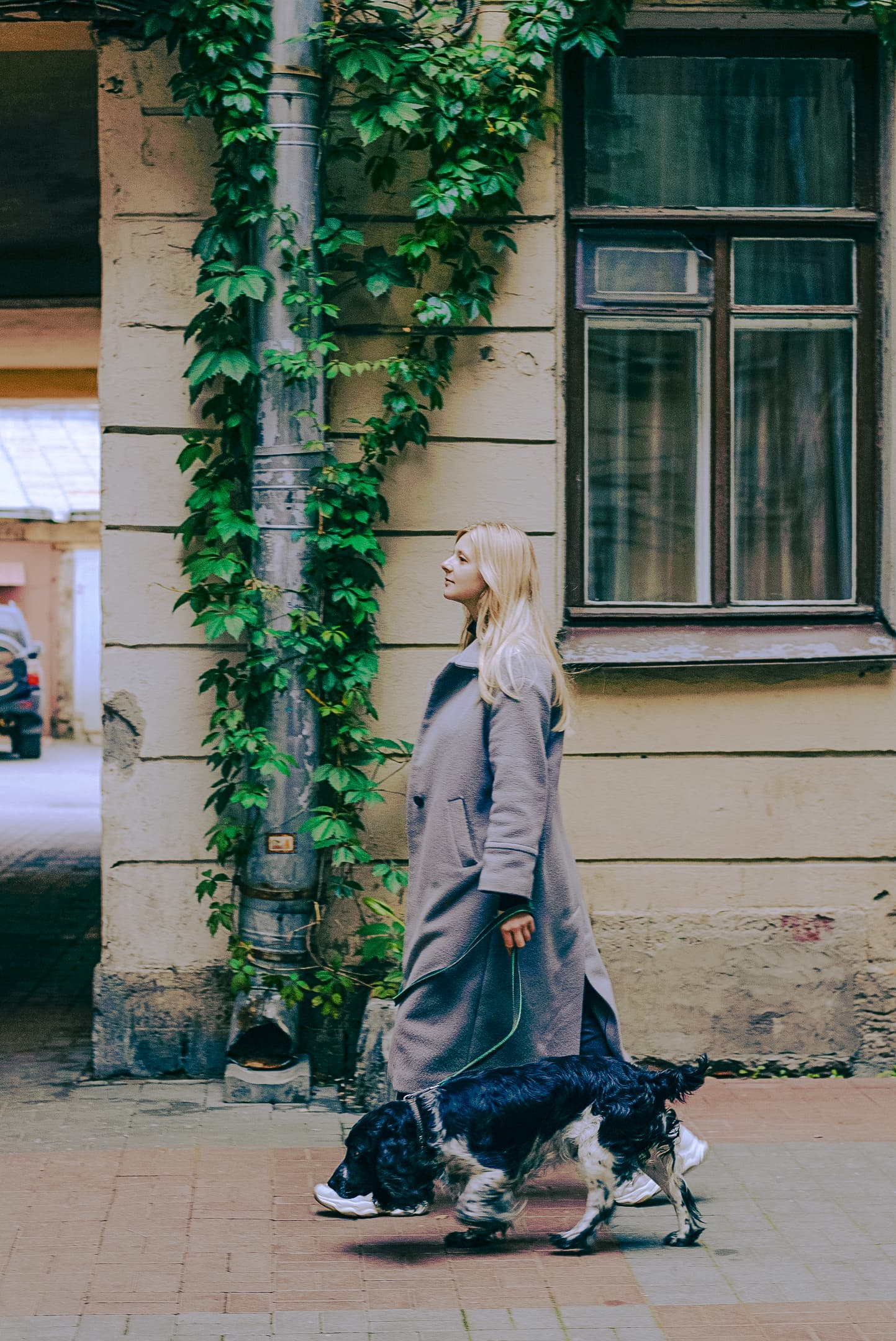 slide-cefbb490-556b-4f86-9cc1-bff28af28100