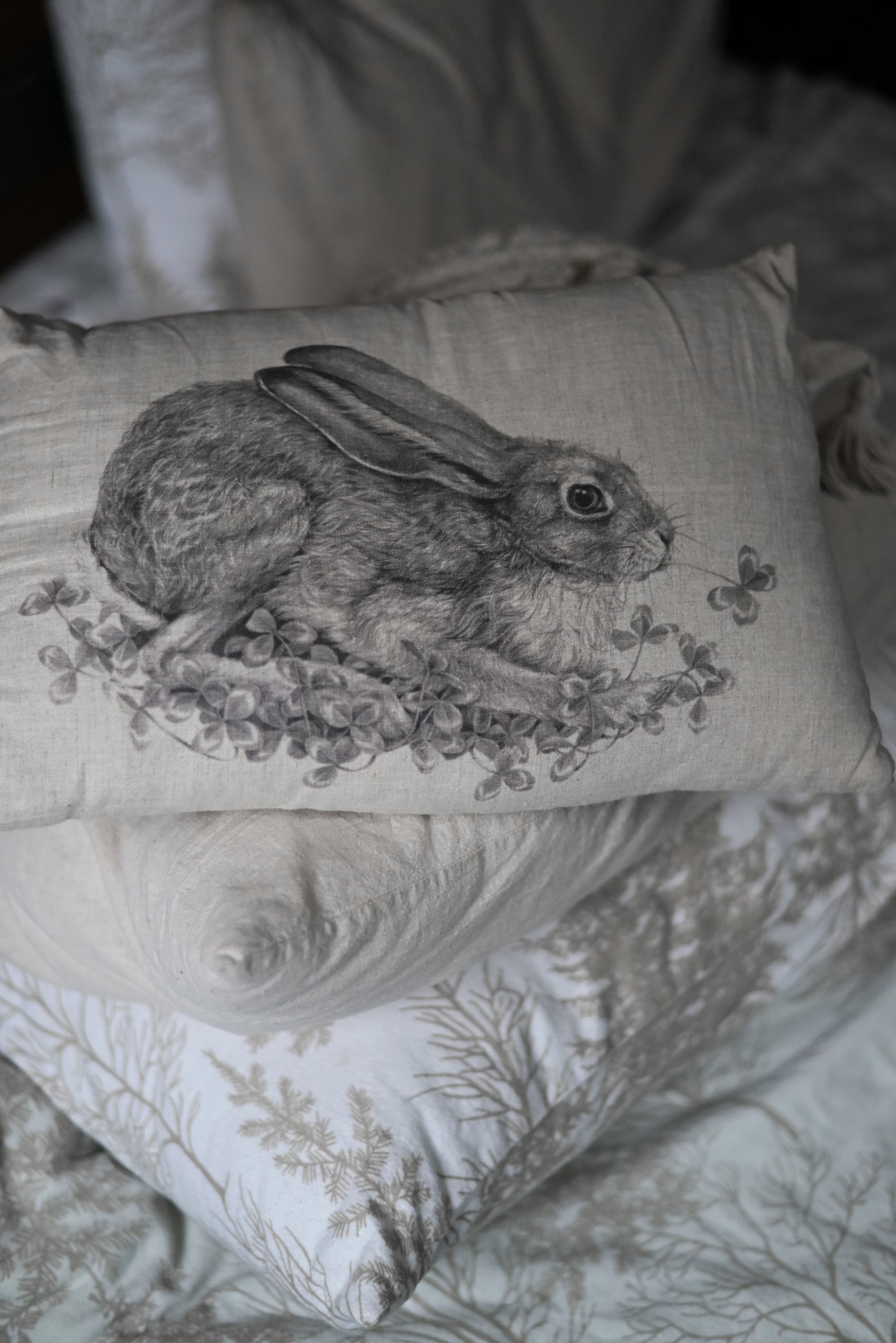 slide-cffe811f-6538-4ba1-9ff8-aca08bbf890d