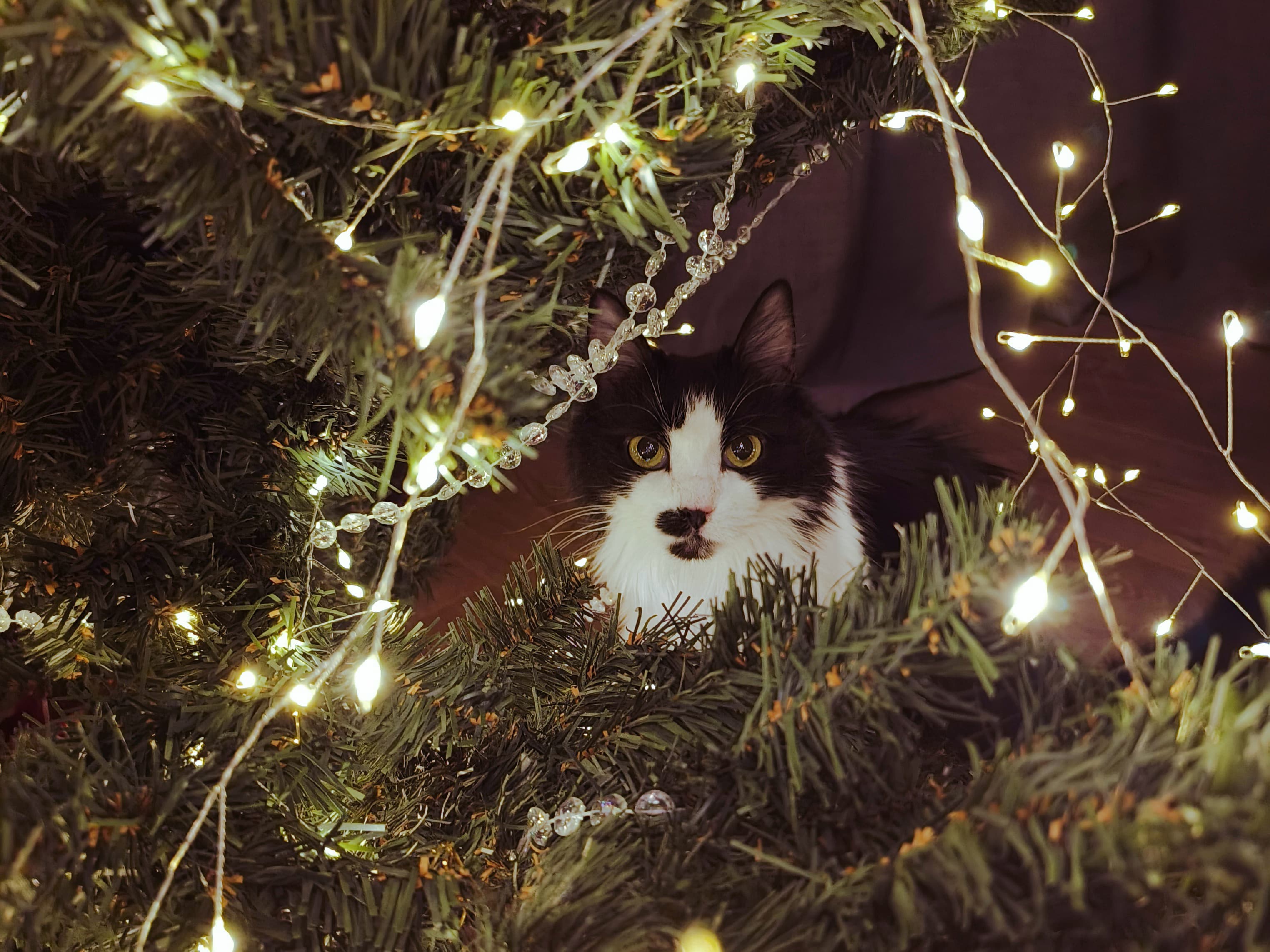 slide-d07ebce3-7d47-4826-9971-9a996122003b