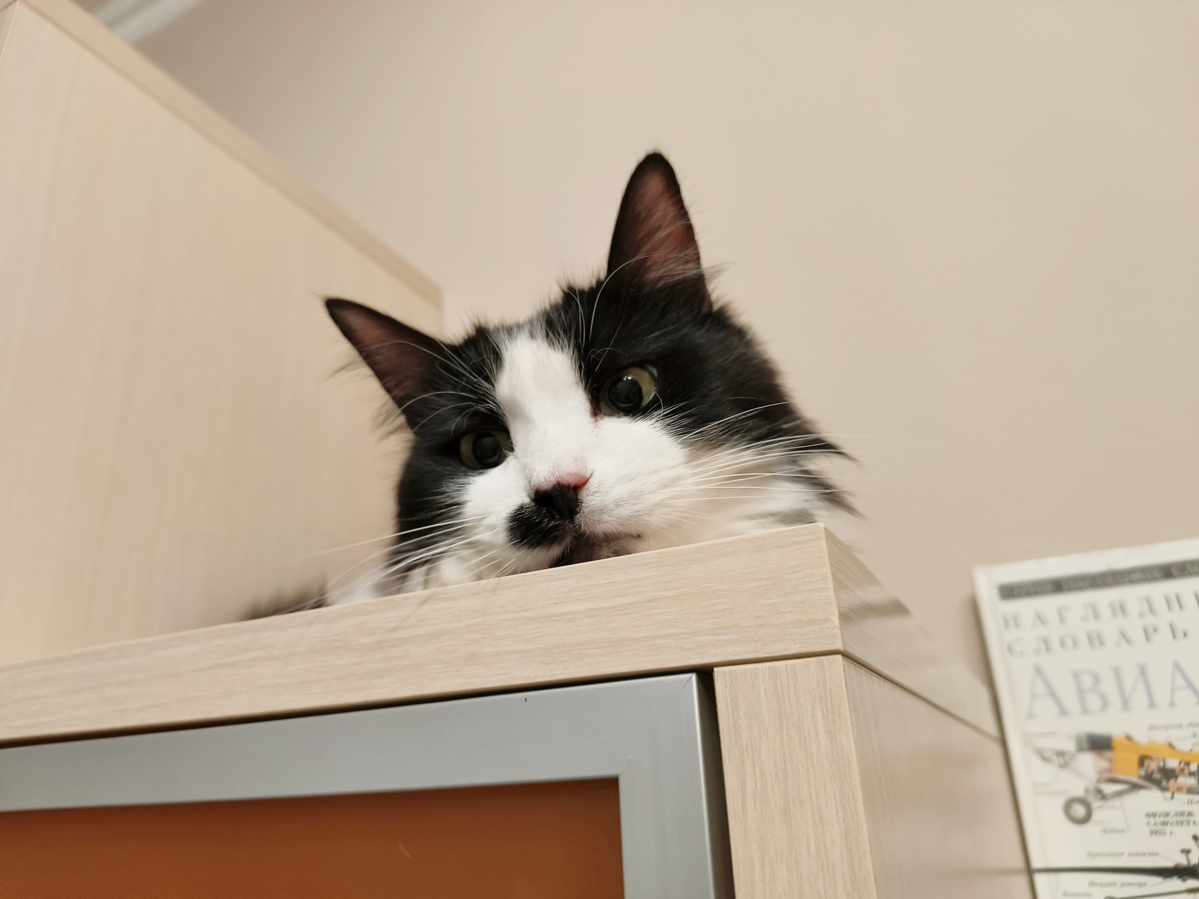 slide-d3c0050c-706e-4223-90fc-4b22c7c11af3