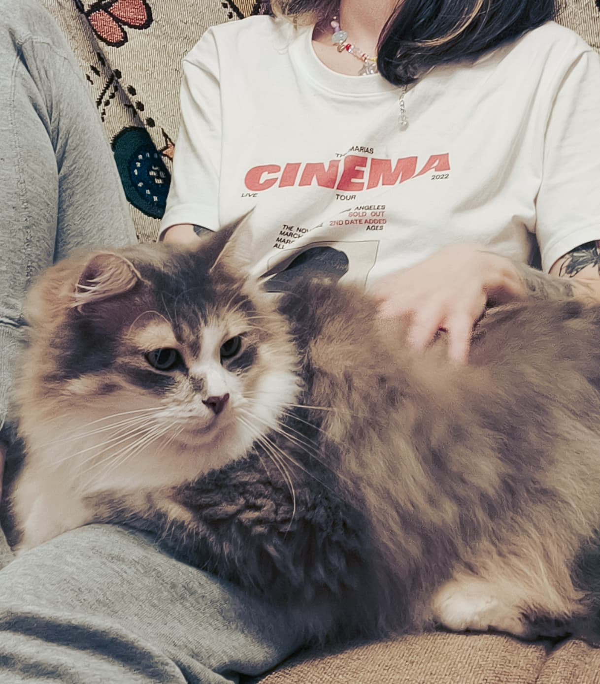 slide-d42144b3-8f0d-4f84-8def-72e22bb12e6c