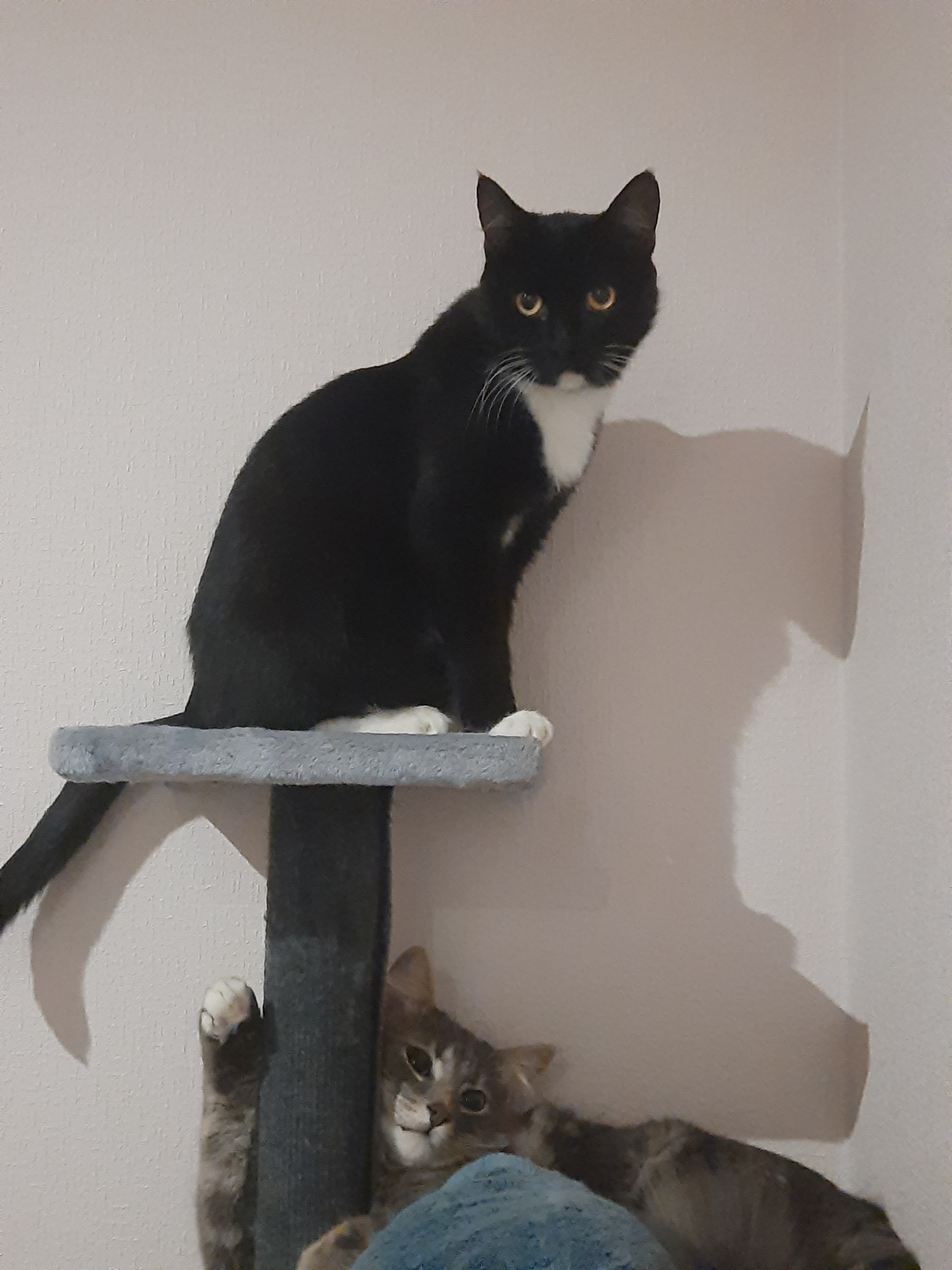 slide-d54df64f-1342-40bc-a127-1f94b40776a3