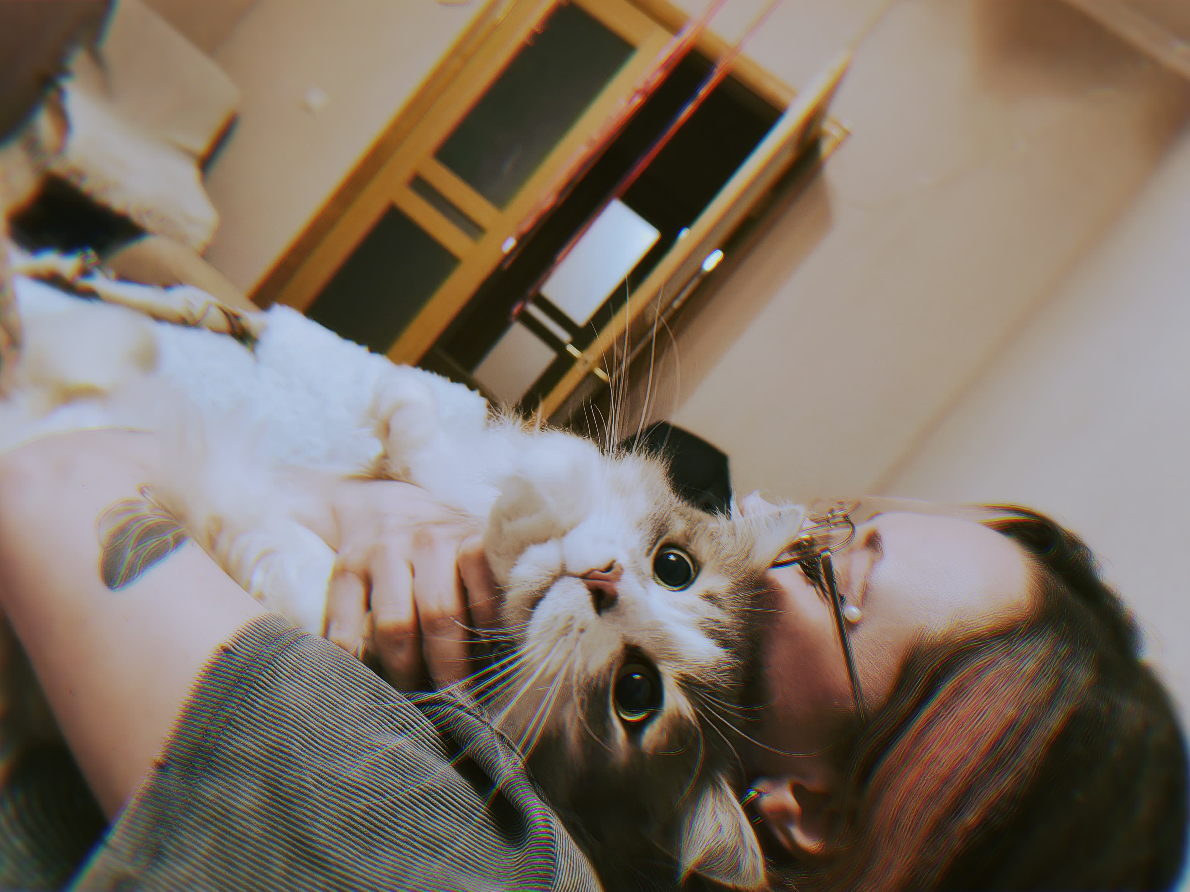 slide-d86420e5-37cc-4606-a24c-e2d82667aa2e