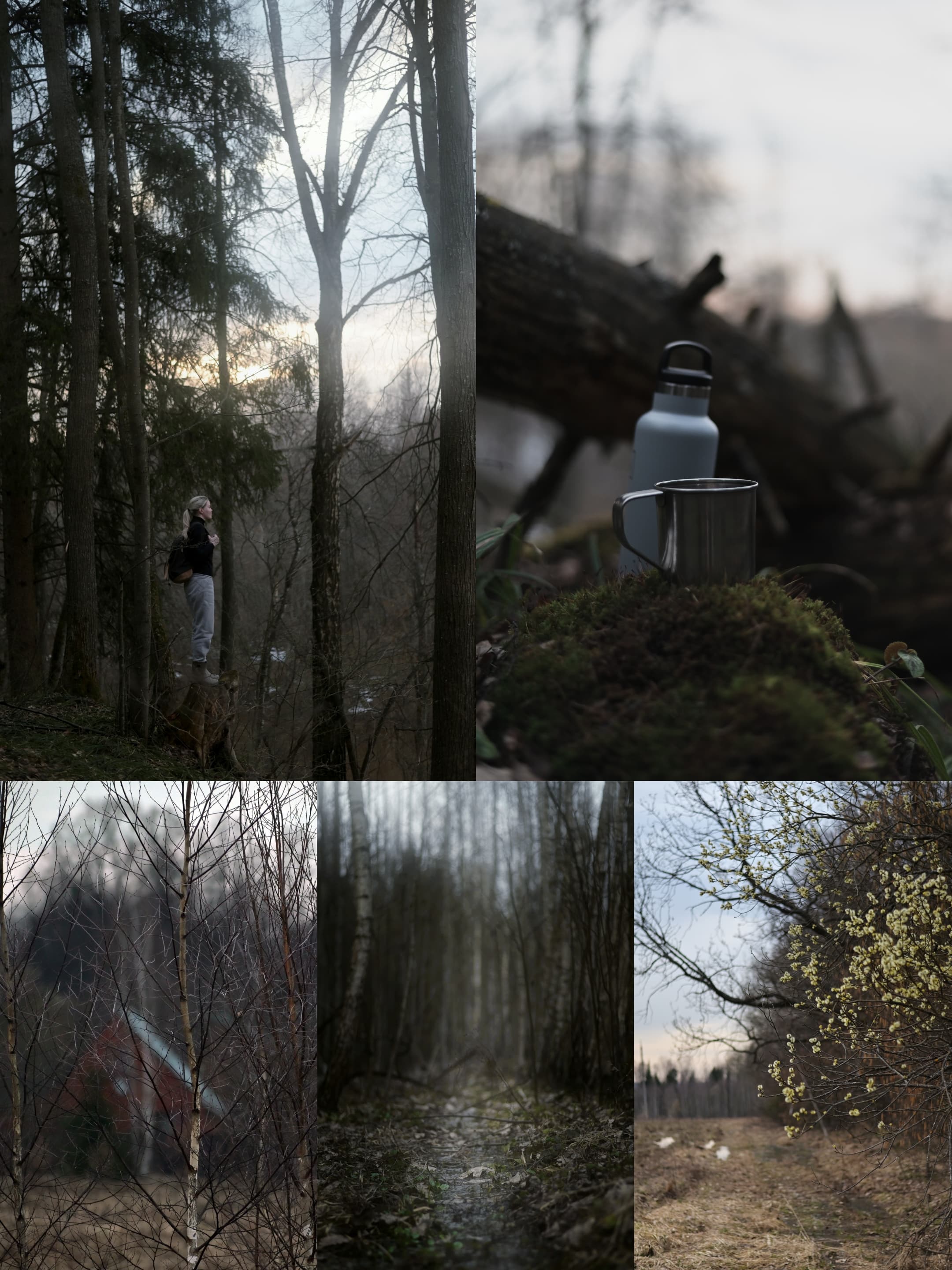 slide-da6675d2-92ab-4bb6-b23e-9bc54f0a4728