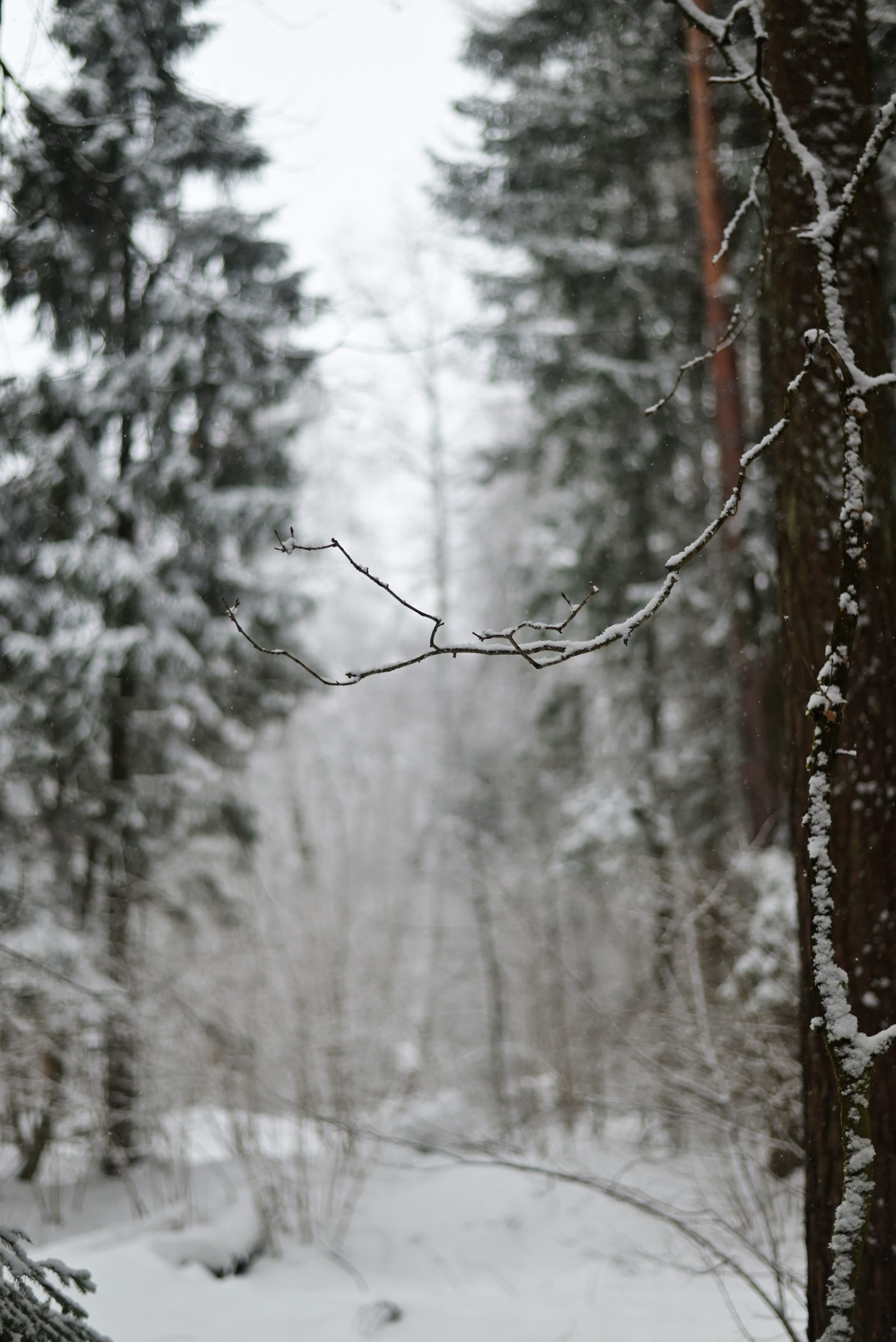 slide-dd0e5483-deb6-4db5-a52d-6dae422e6c98