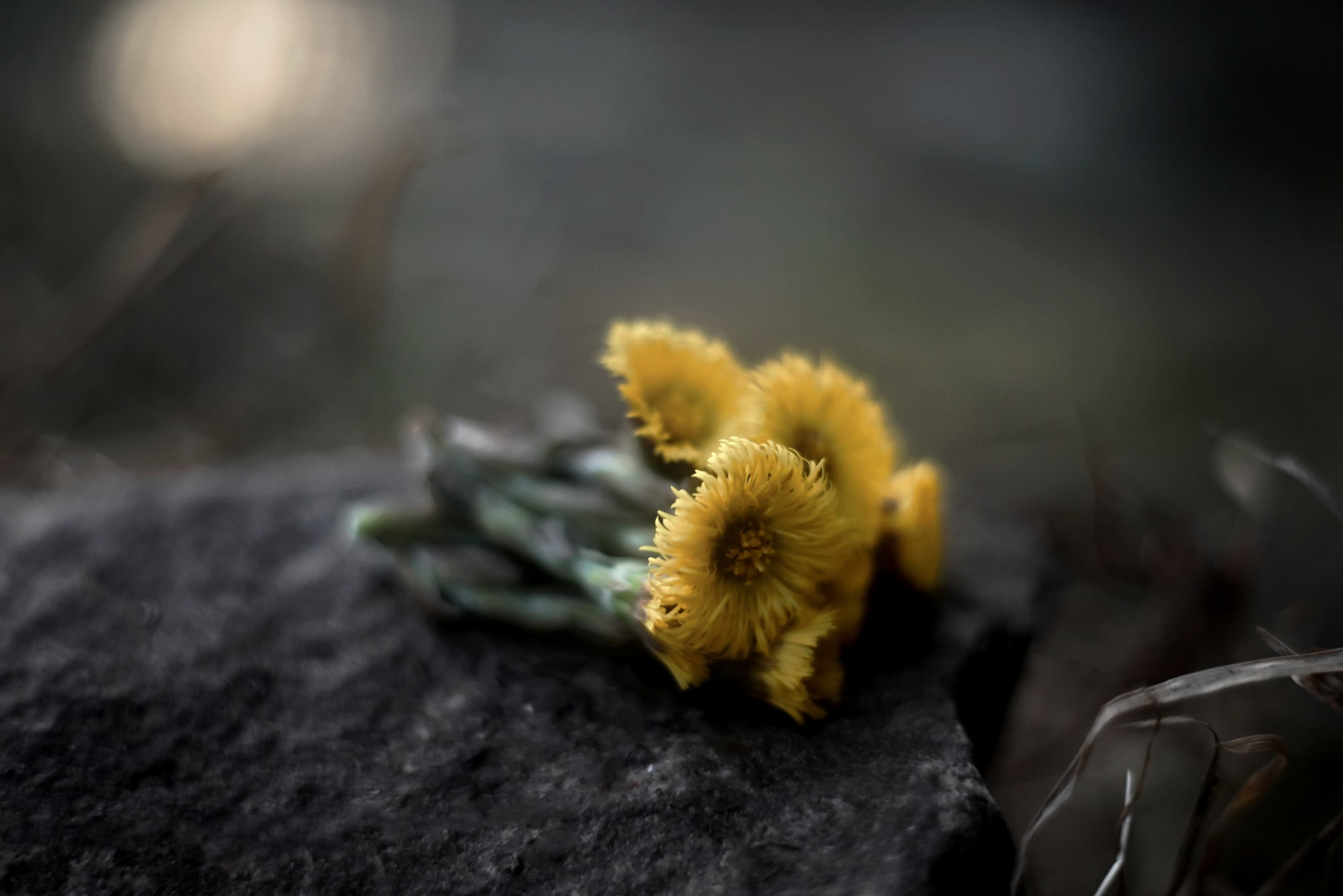 slide-dd7361e0-e924-4403-8015-0cf1515d7268