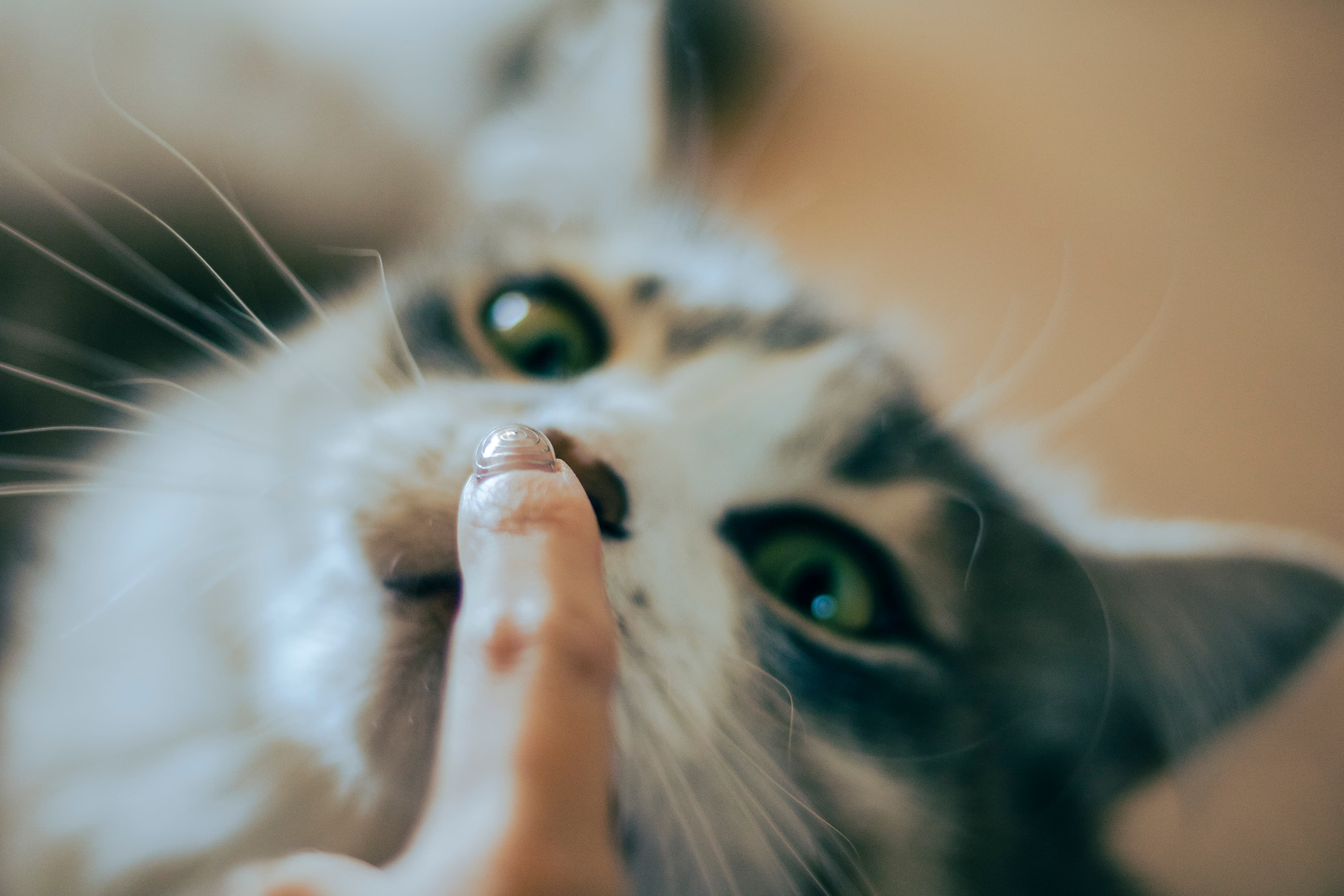 slide-e65546bb-66b2-49cb-b4eb-250815416374