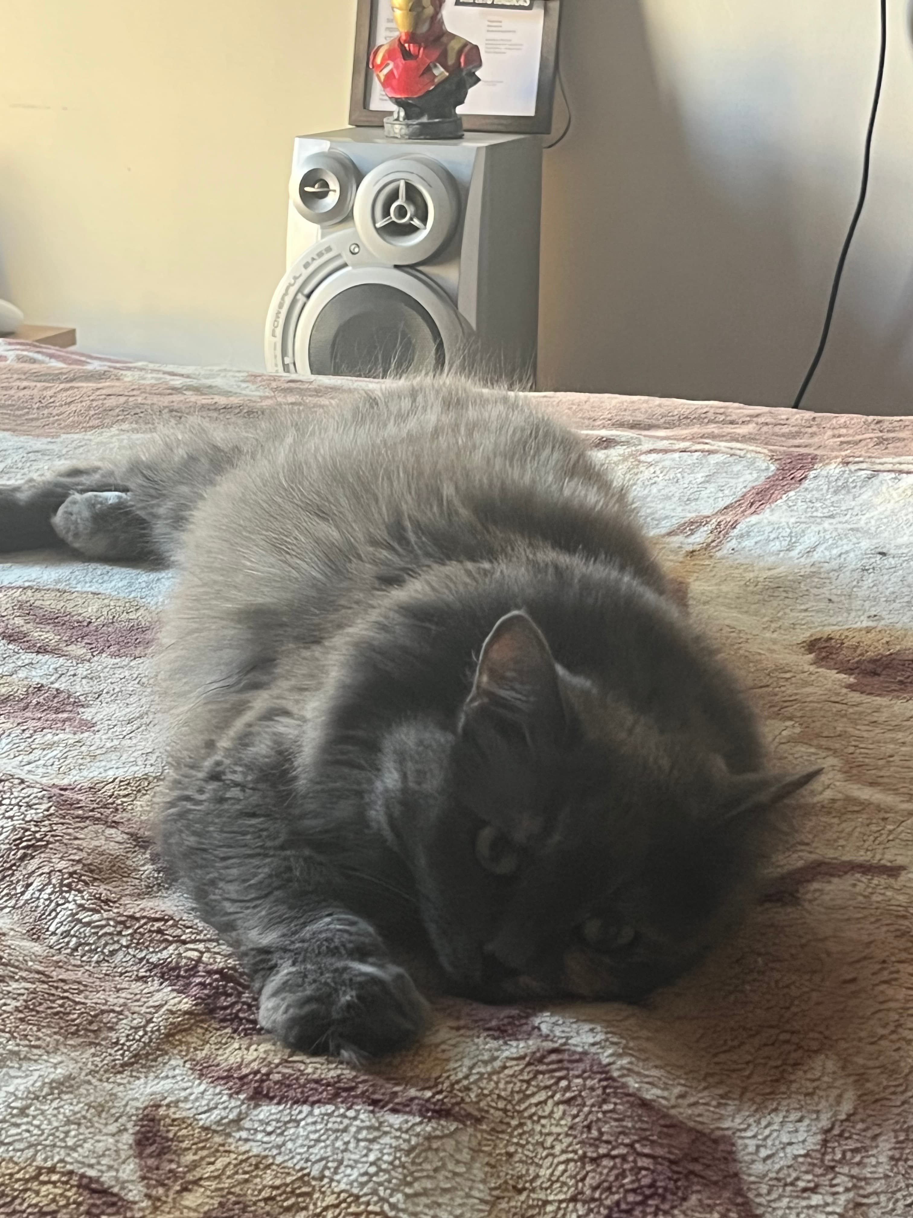 slide-e664a18c-019e-4675-b8d8-e7667384e761