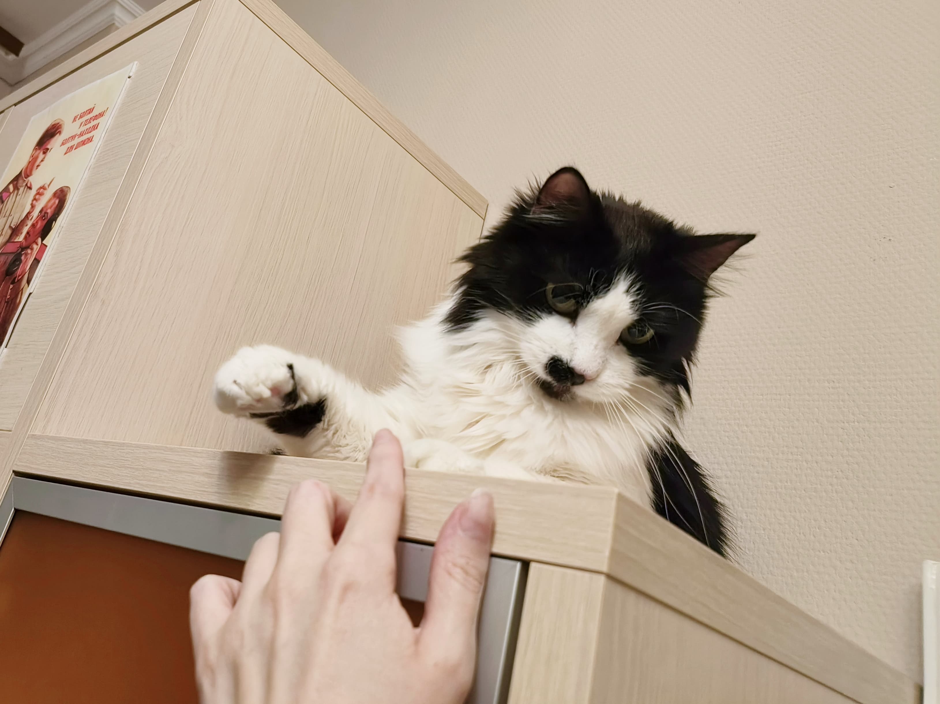 slide-e79439c7-b188-4a1e-969a-c50f8a12cb49