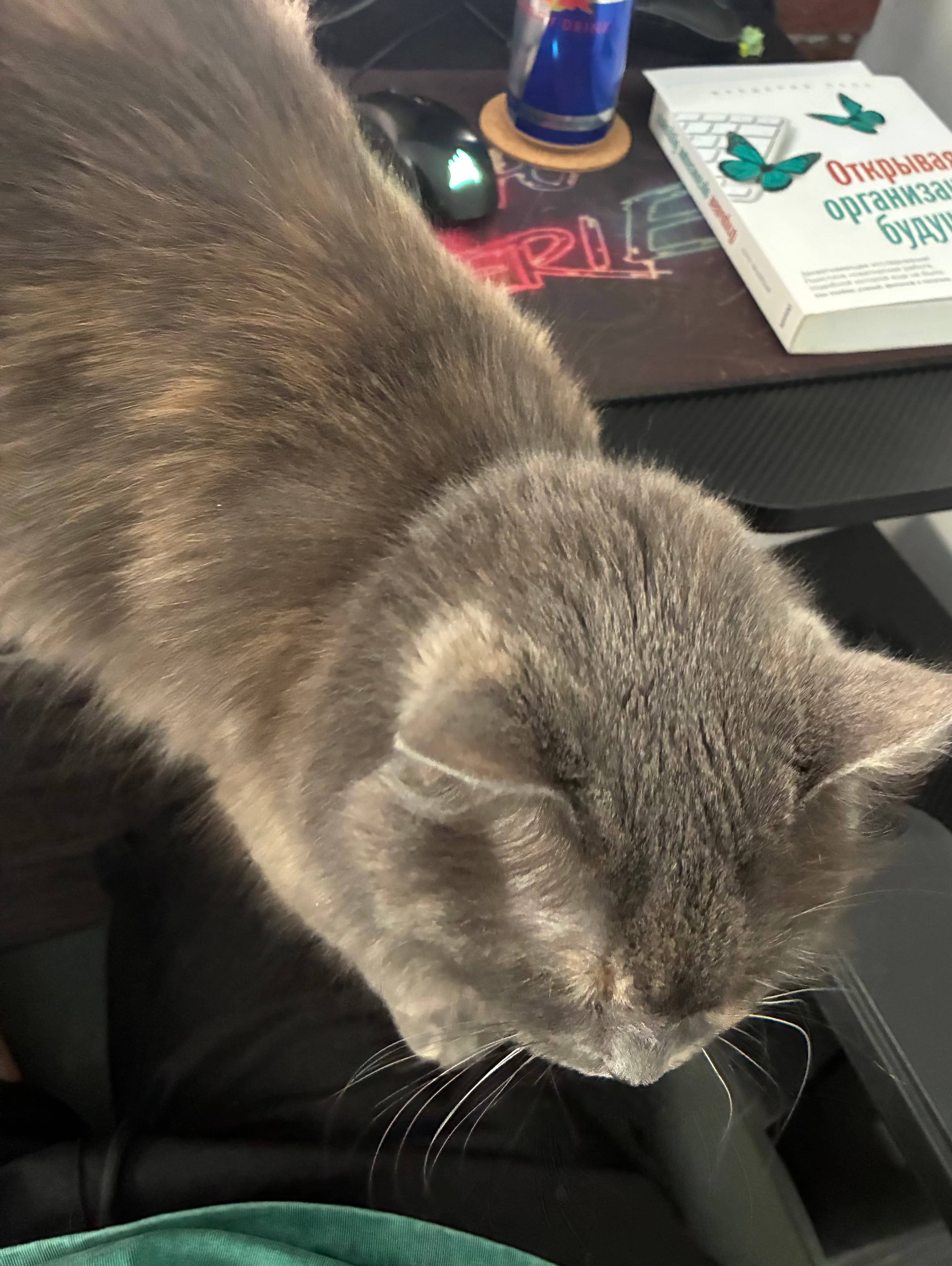 slide-e8ee4d07-5edf-43b5-b72c-7c8e668e43ee