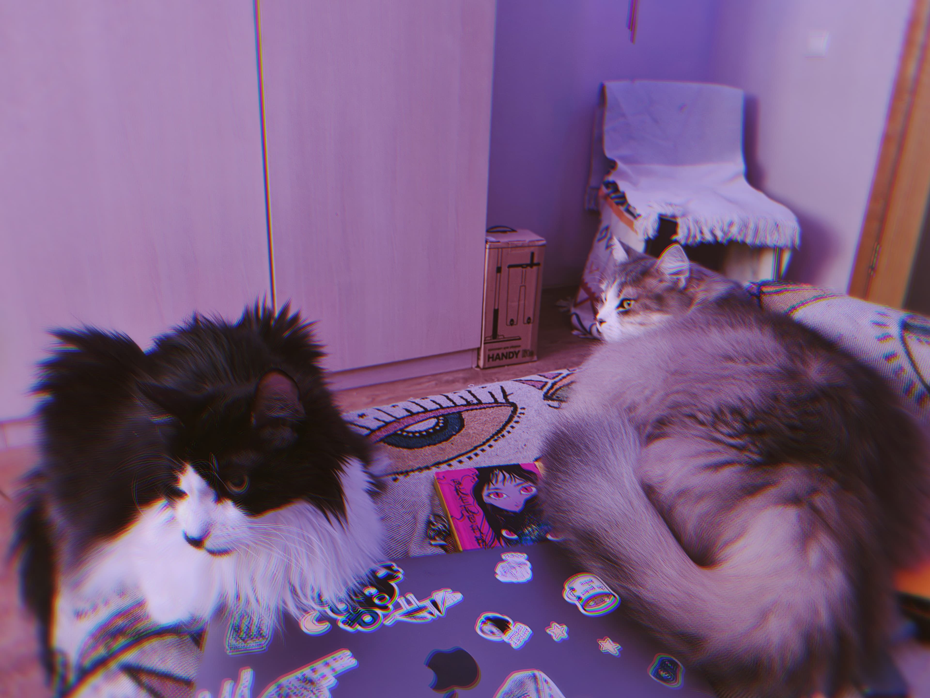 slide-e9573b4e-2aeb-4097-864c-6fc50d363d6a