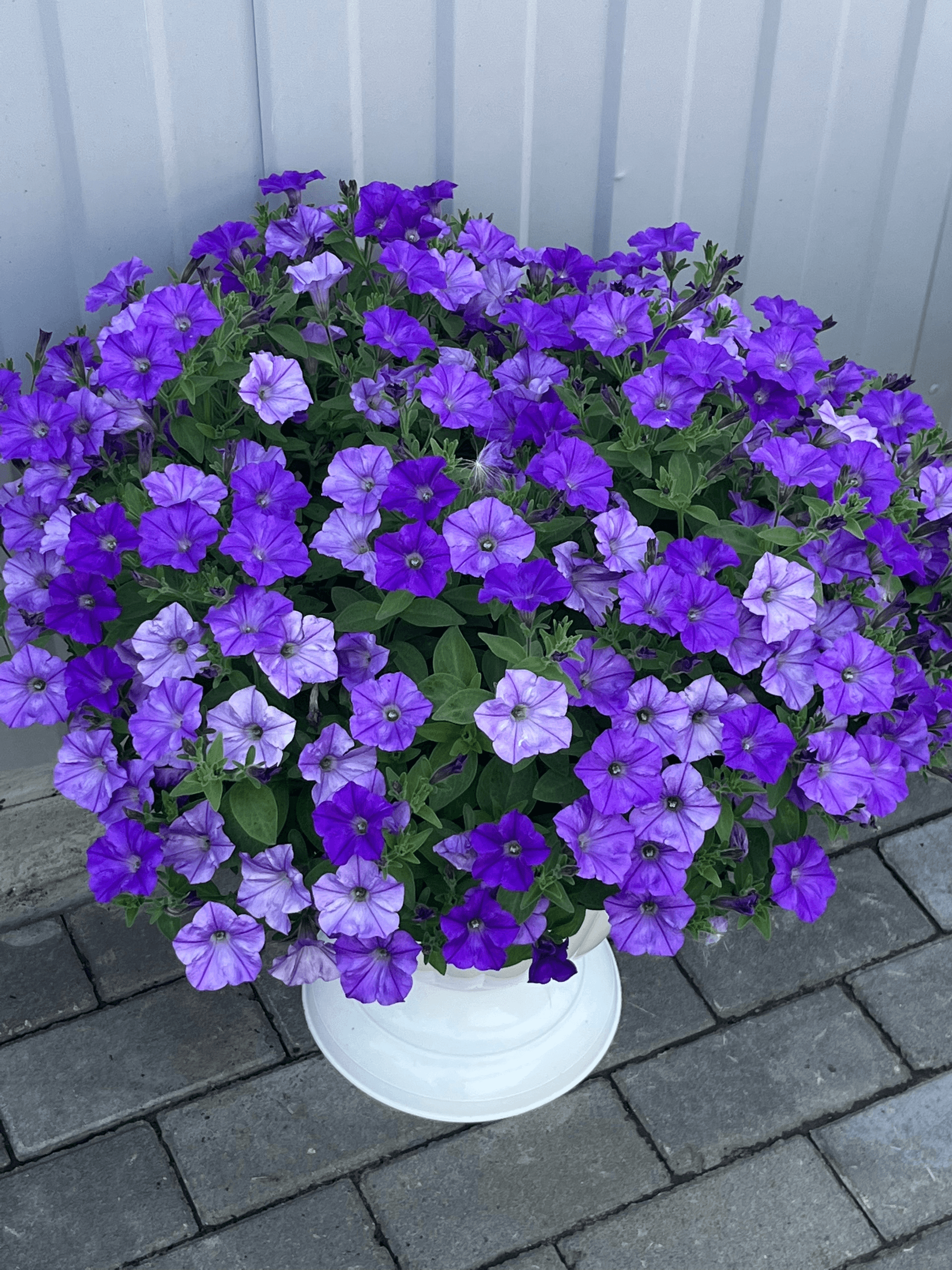 slide-e96b2790-68ca-4fb5-a733-e23a92a6063e