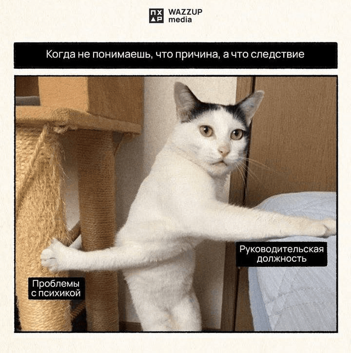 slide-e96e3939-d0d9-4782-a53b-c292ac8eb0de
