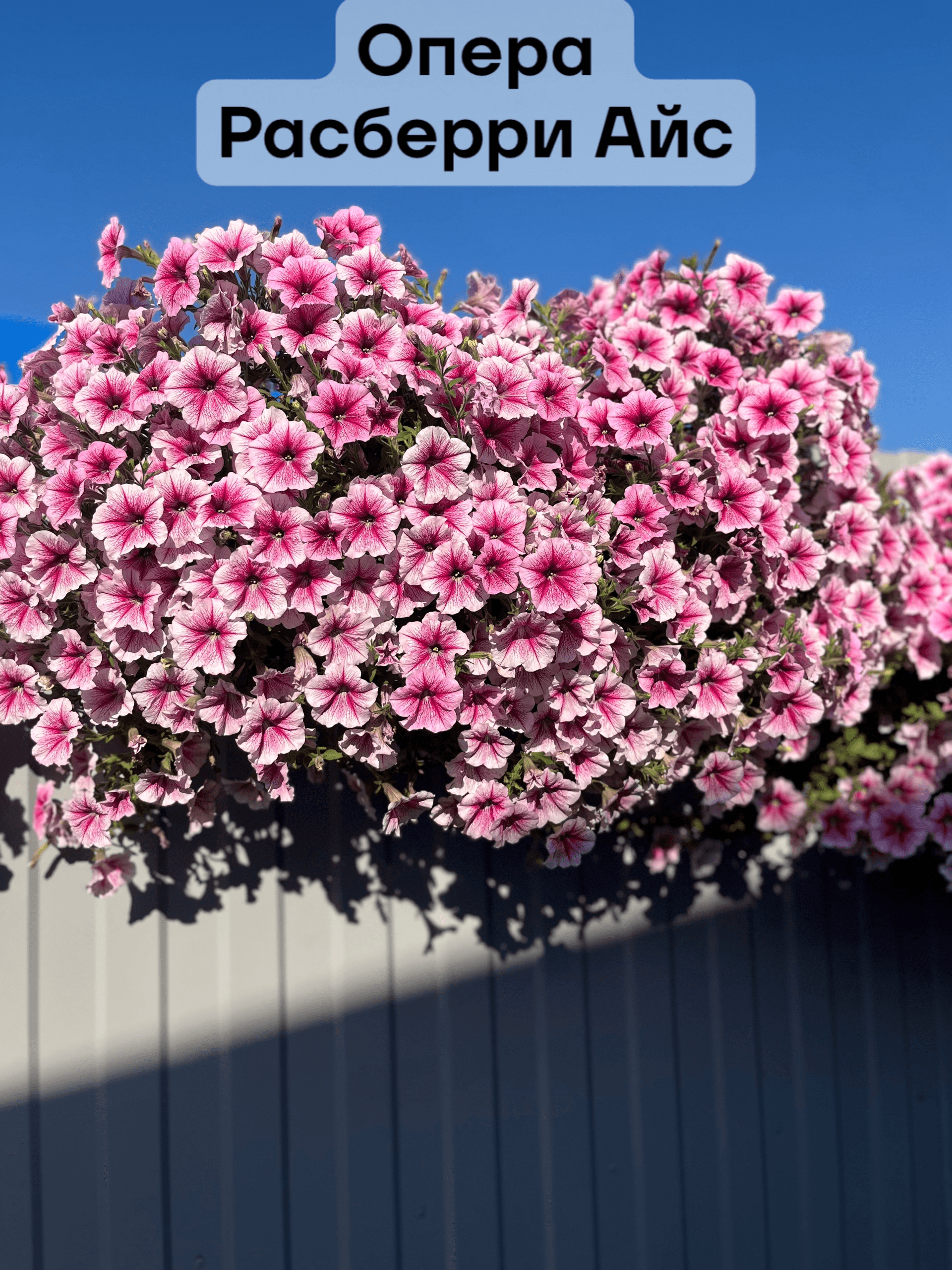 slide-eaa5511b-b191-4a6e-a17a-68488c645d4f