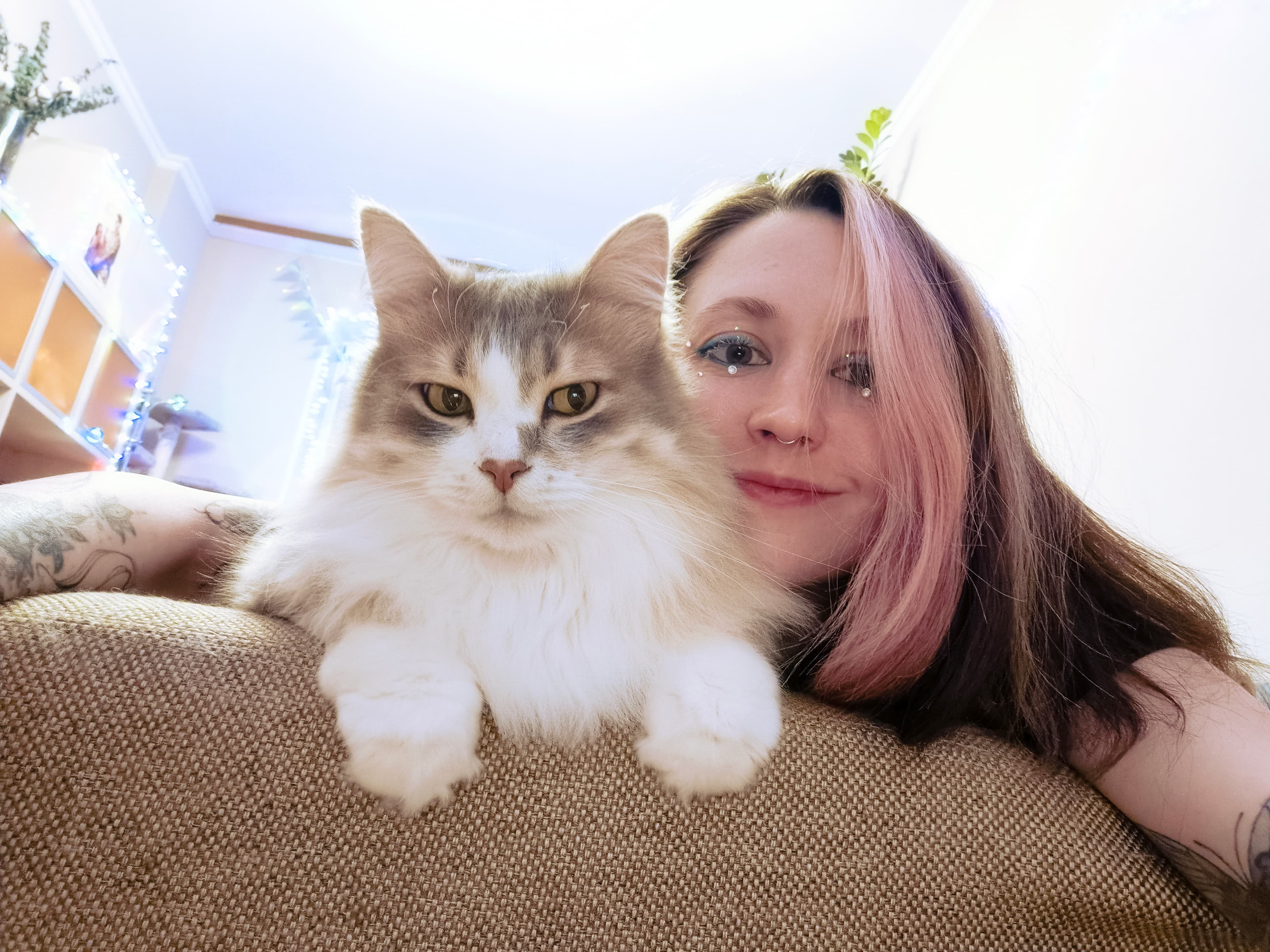 slide-ed604eff-7a6d-461f-b2a7-a645ce538fcb