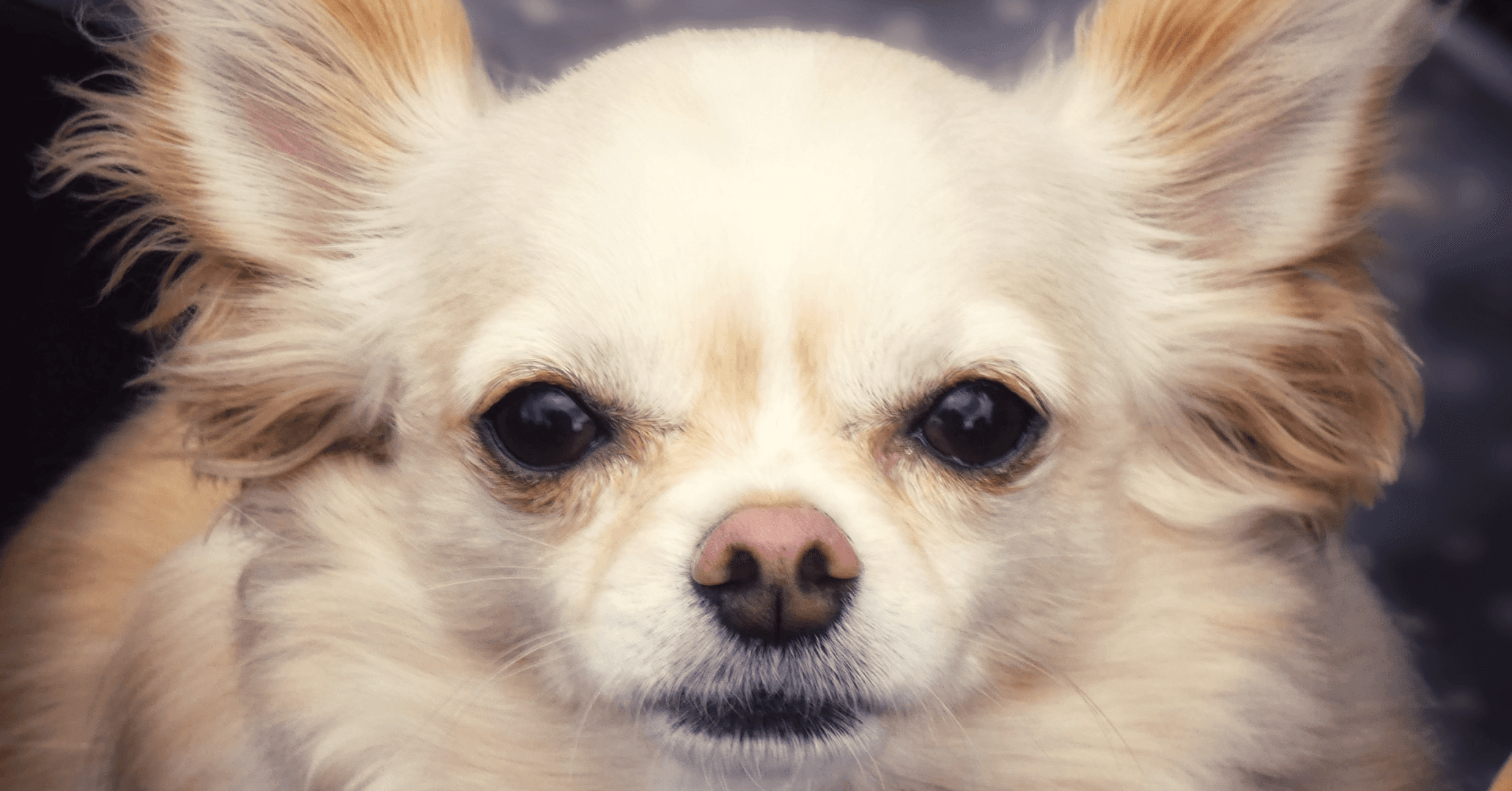 slide-edb6f5ae-8bd0-4298-a7b7-f3a35600aecb