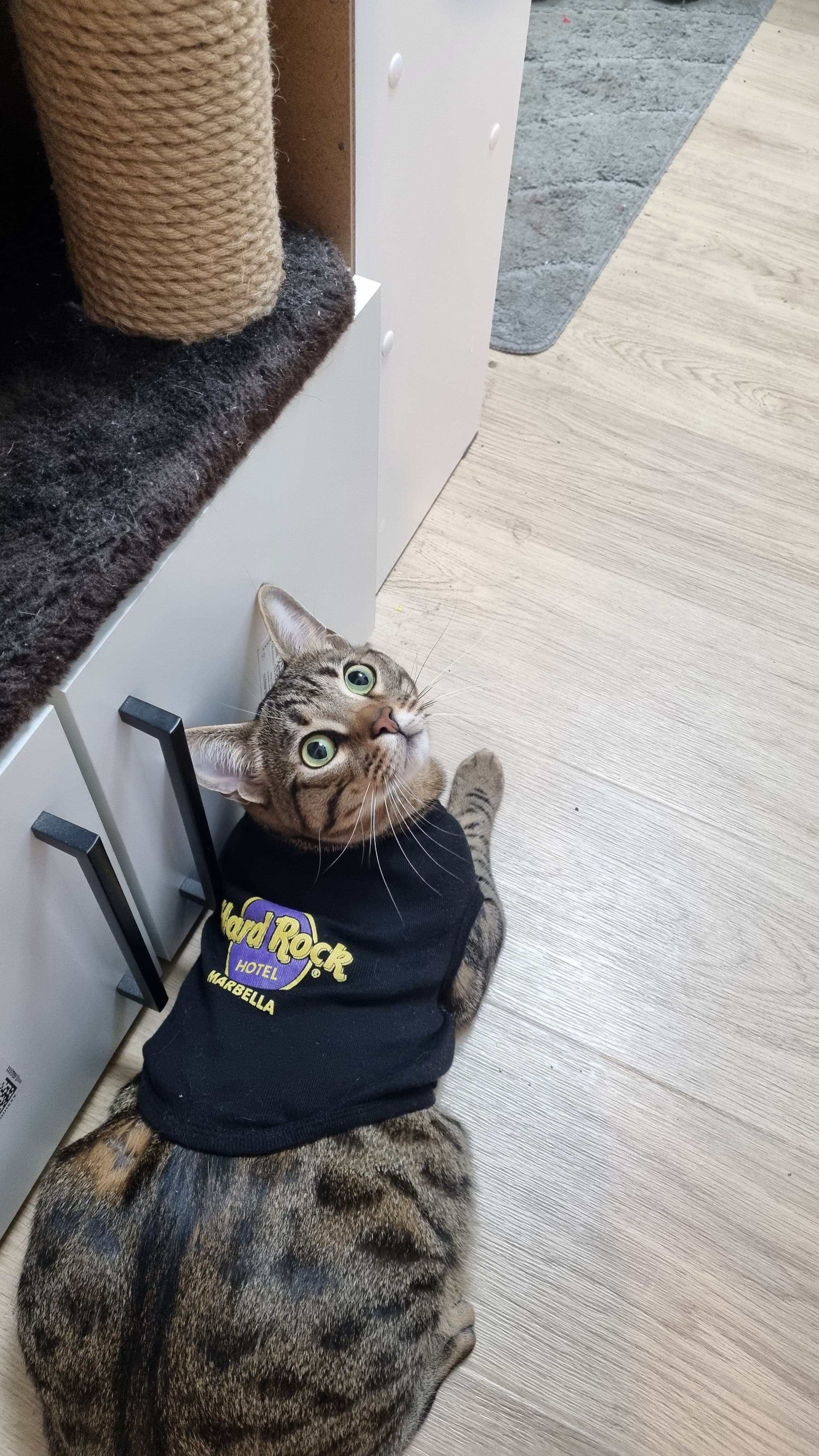 slide-edc929d7-ecbc-4f6d-a6ea-9f8721b678cd