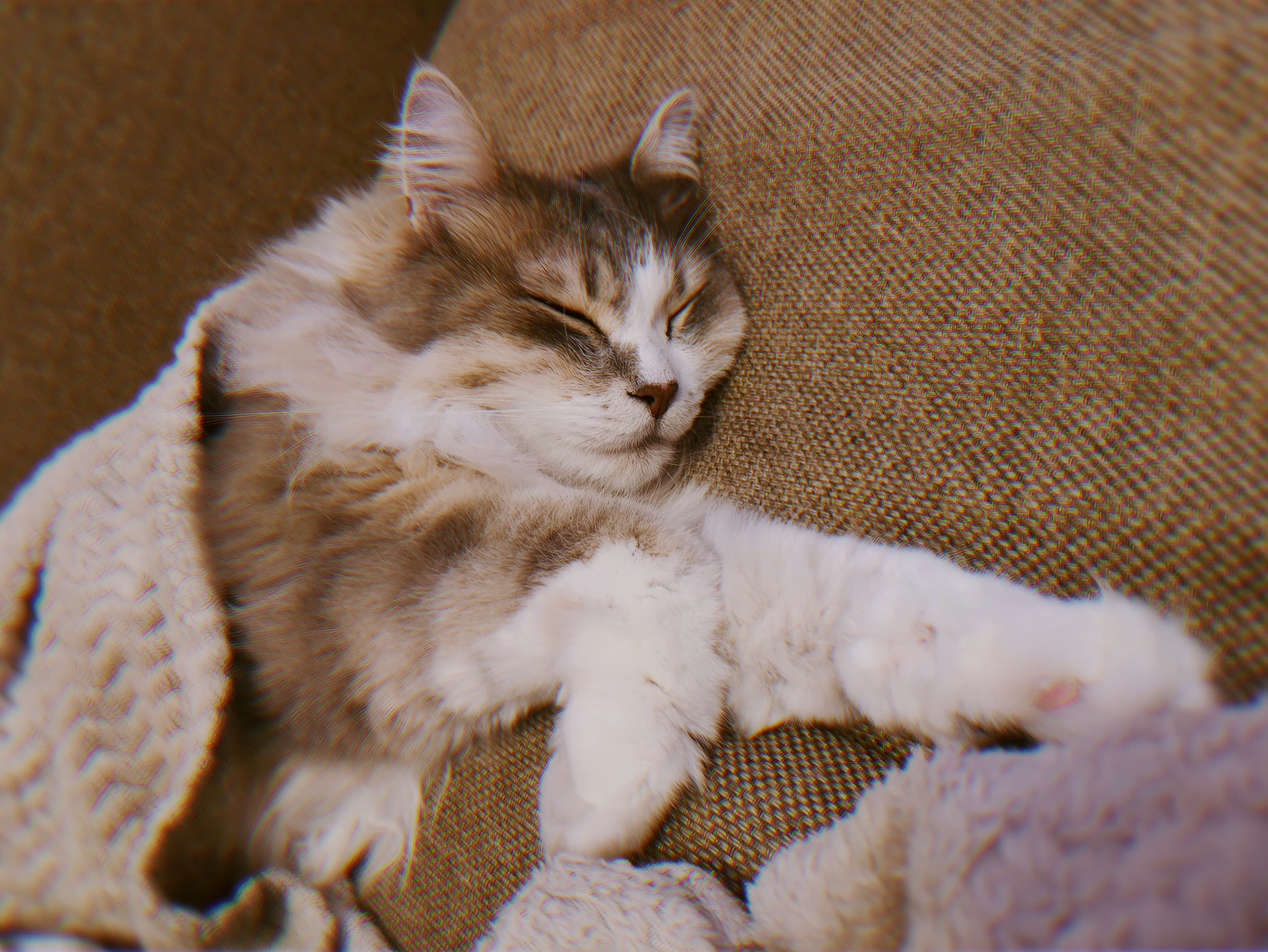 slide-ef4fe9c1-72cc-48bd-978d-c0566b0bb299