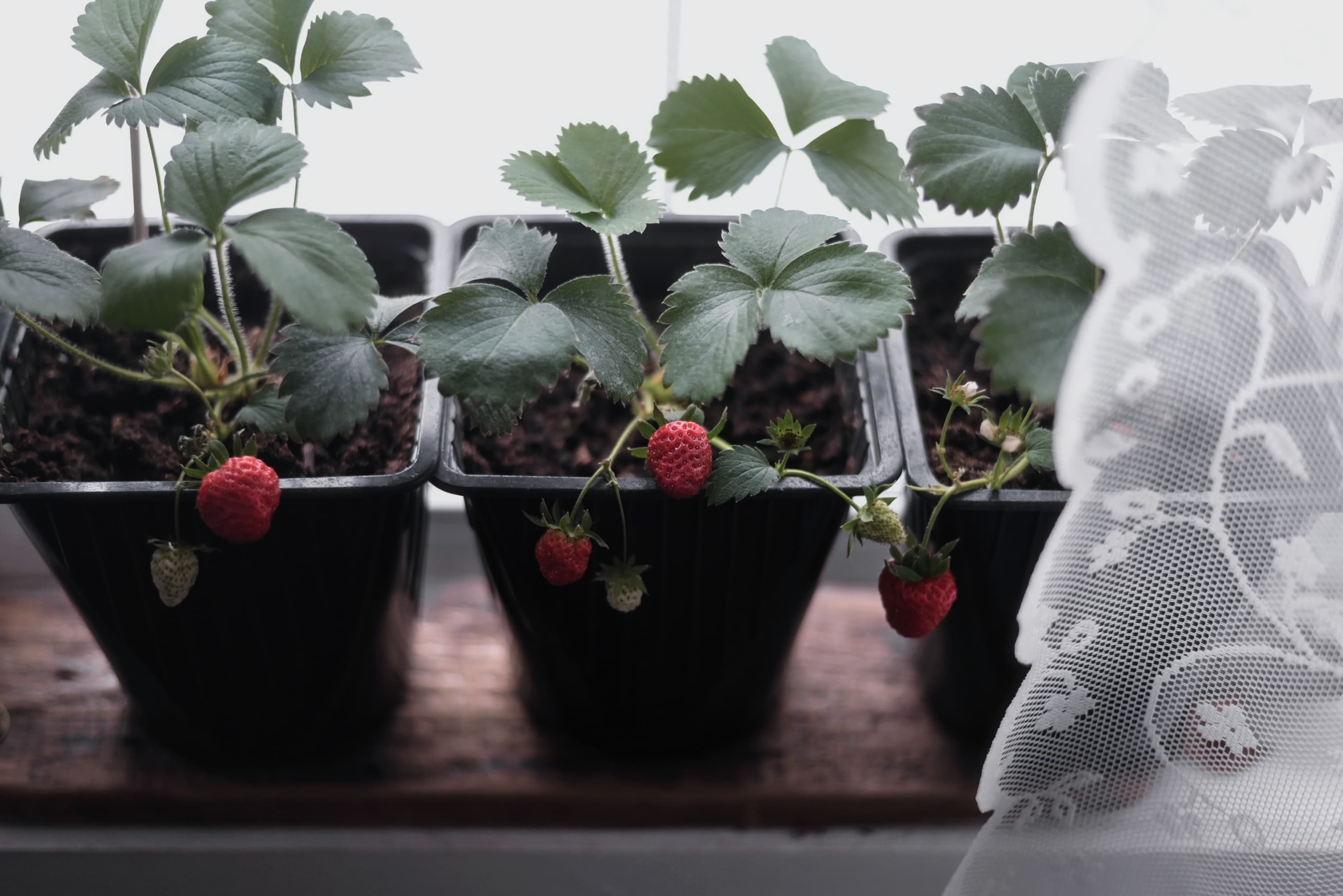 slide-efe83ea0-d3ba-4615-a2f7-70ba063718bf