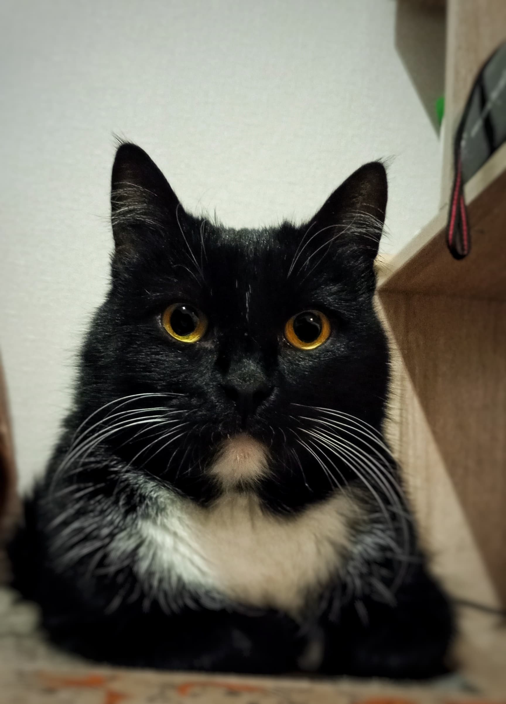 slide-f4aa3027-5946-4a65-b1ee-846aa09d2236