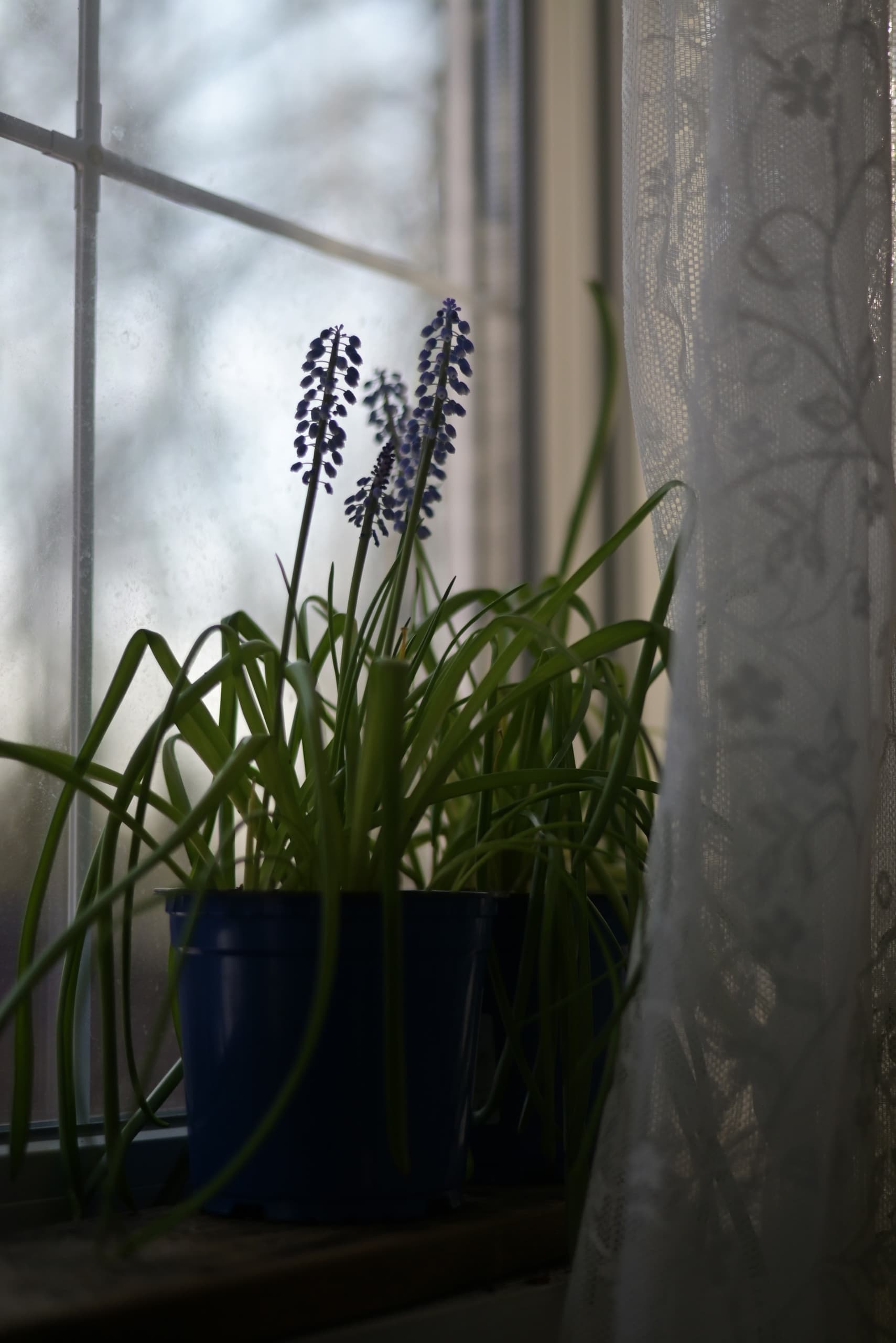 slide-f66844e8-821d-4658-a51b-34c6b945c823