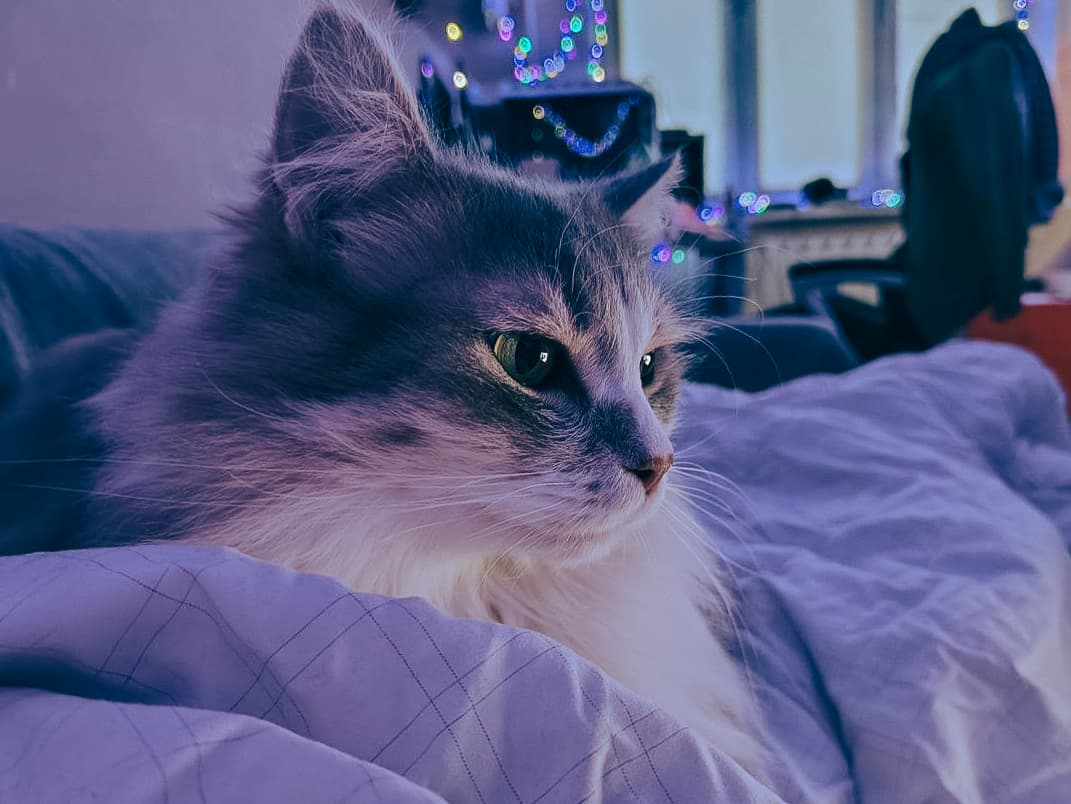 slide-f6e38630-85fb-430c-aec6-8e1bb0fcd519