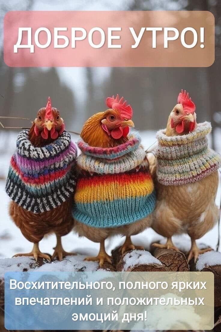 slide-f74f3712-c7de-45d1-9833-29f148843e19