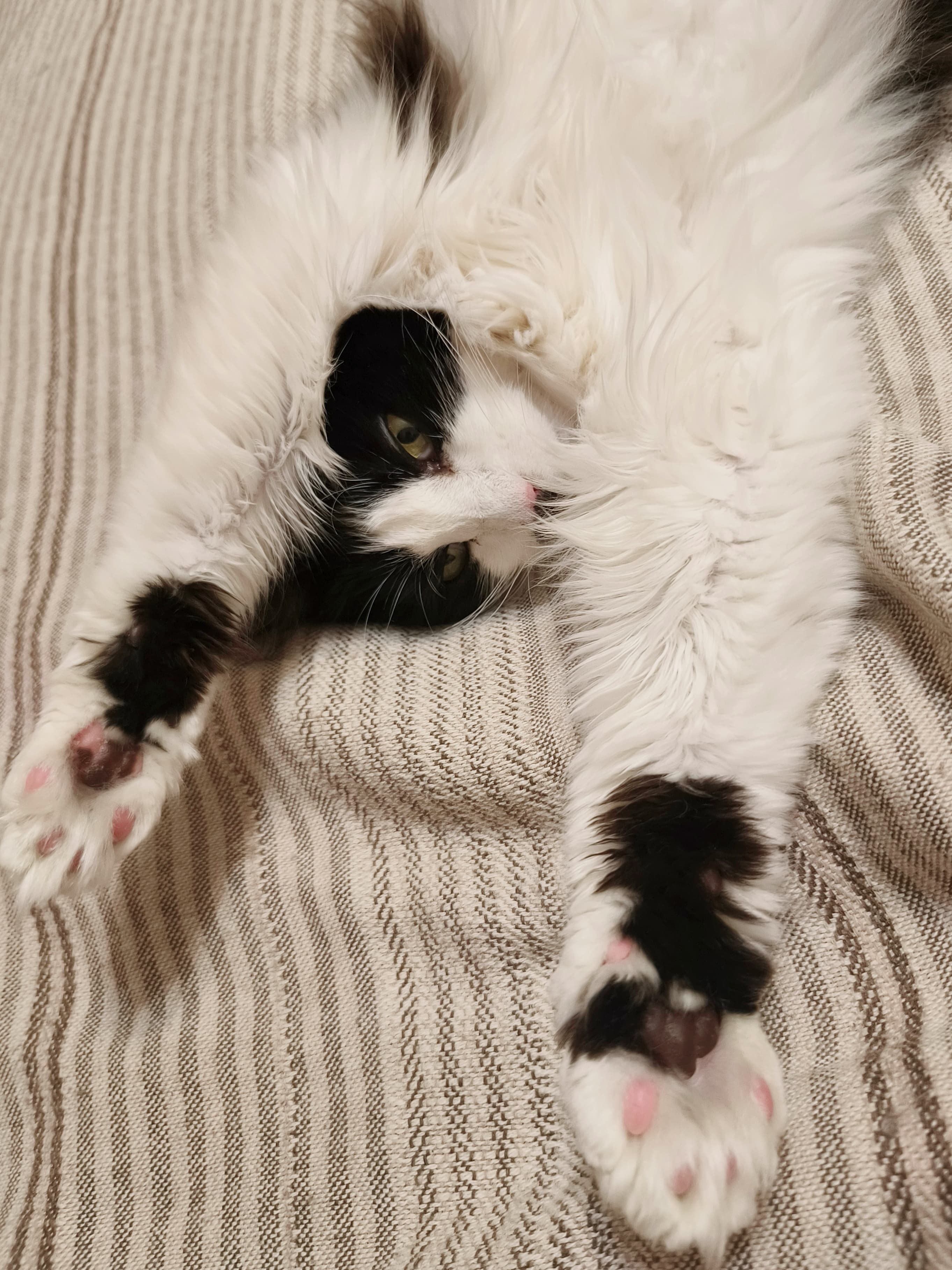 slide-f87e3a99-7b2f-4737-b4e2-8c317d0b933e