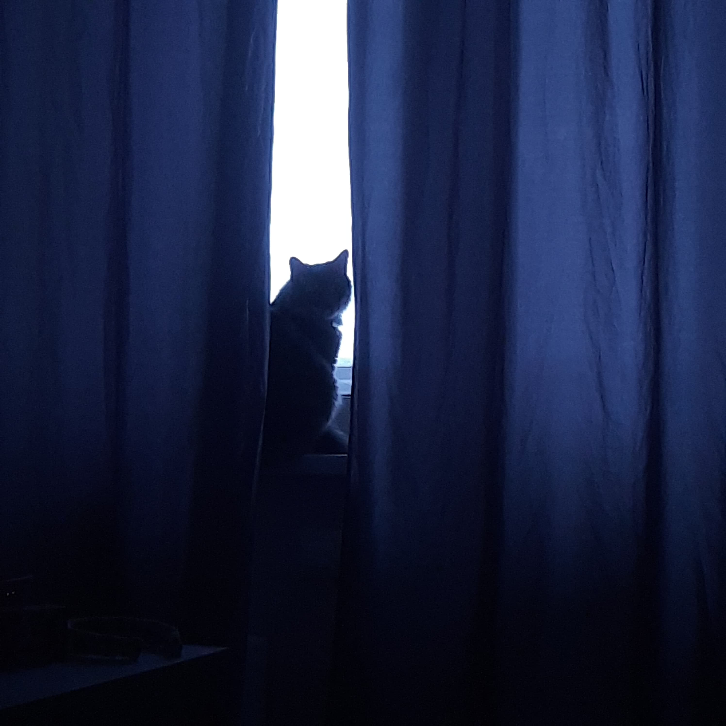 slide-f93aa5b9-ff00-43f9-8311-9eefab776376