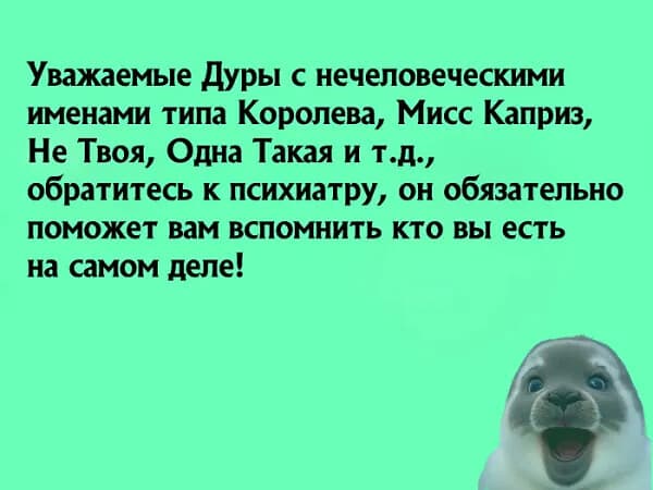 slide-fe58daaa-cc29-428d-8062-b13552397c7c