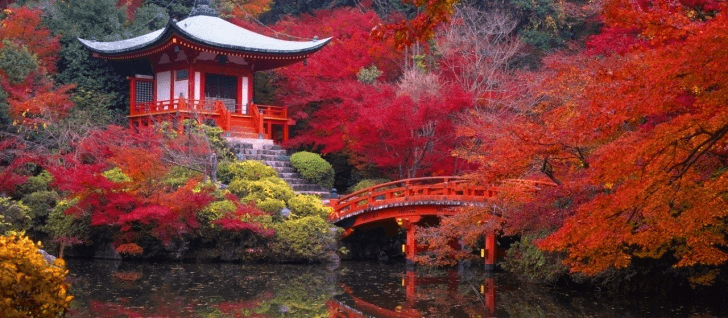 slide-ff125d9c-861f-4d6a-91a7-3e22db8093a9