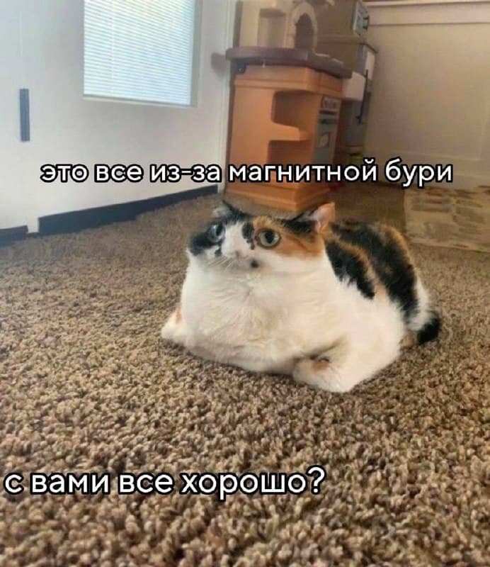 slide-43fbfd3e-a00b-42ed-b18d-e146c344be40