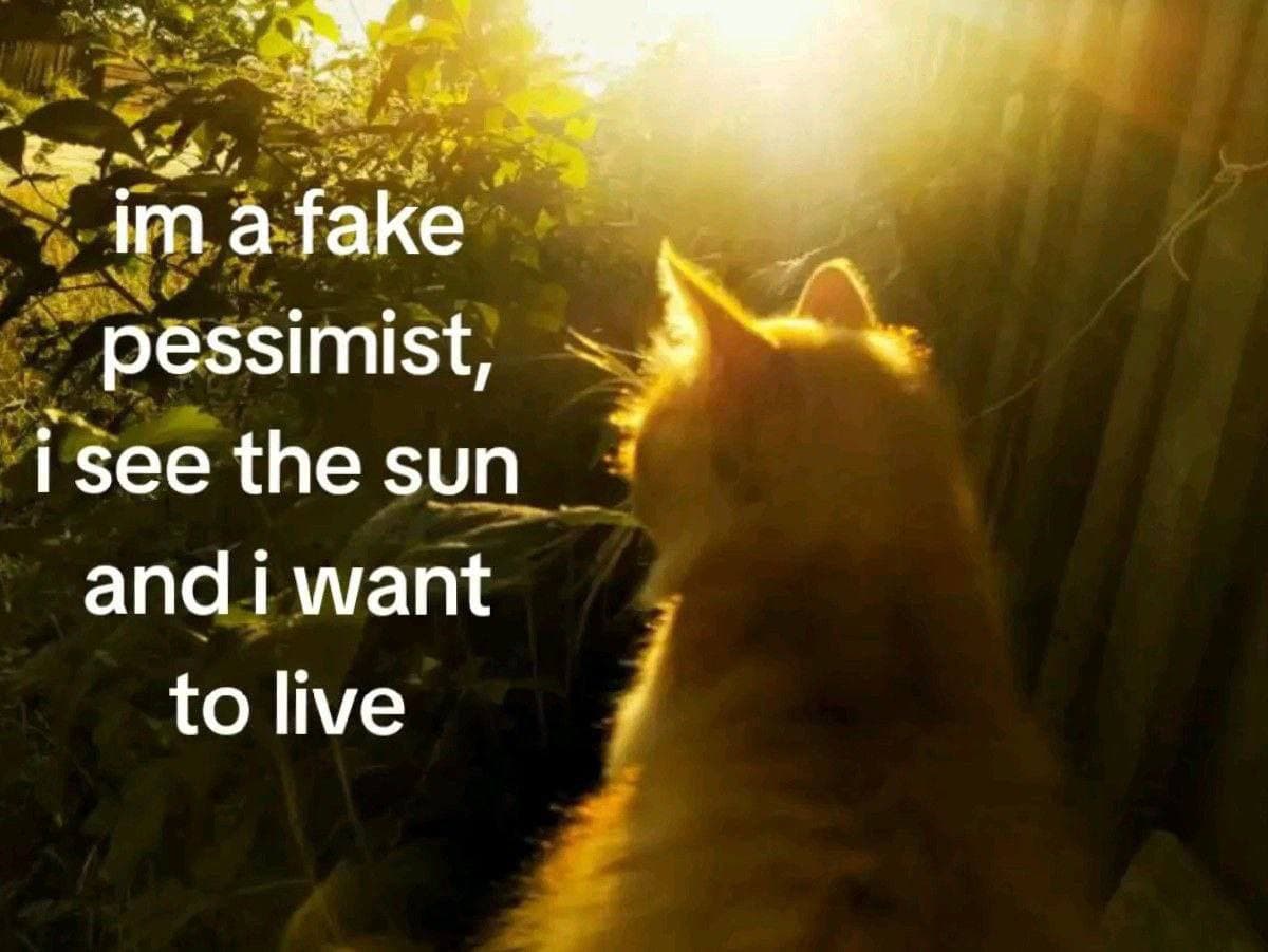 slide-8472b073-8809-4299-8684-ef6146e5b6a8