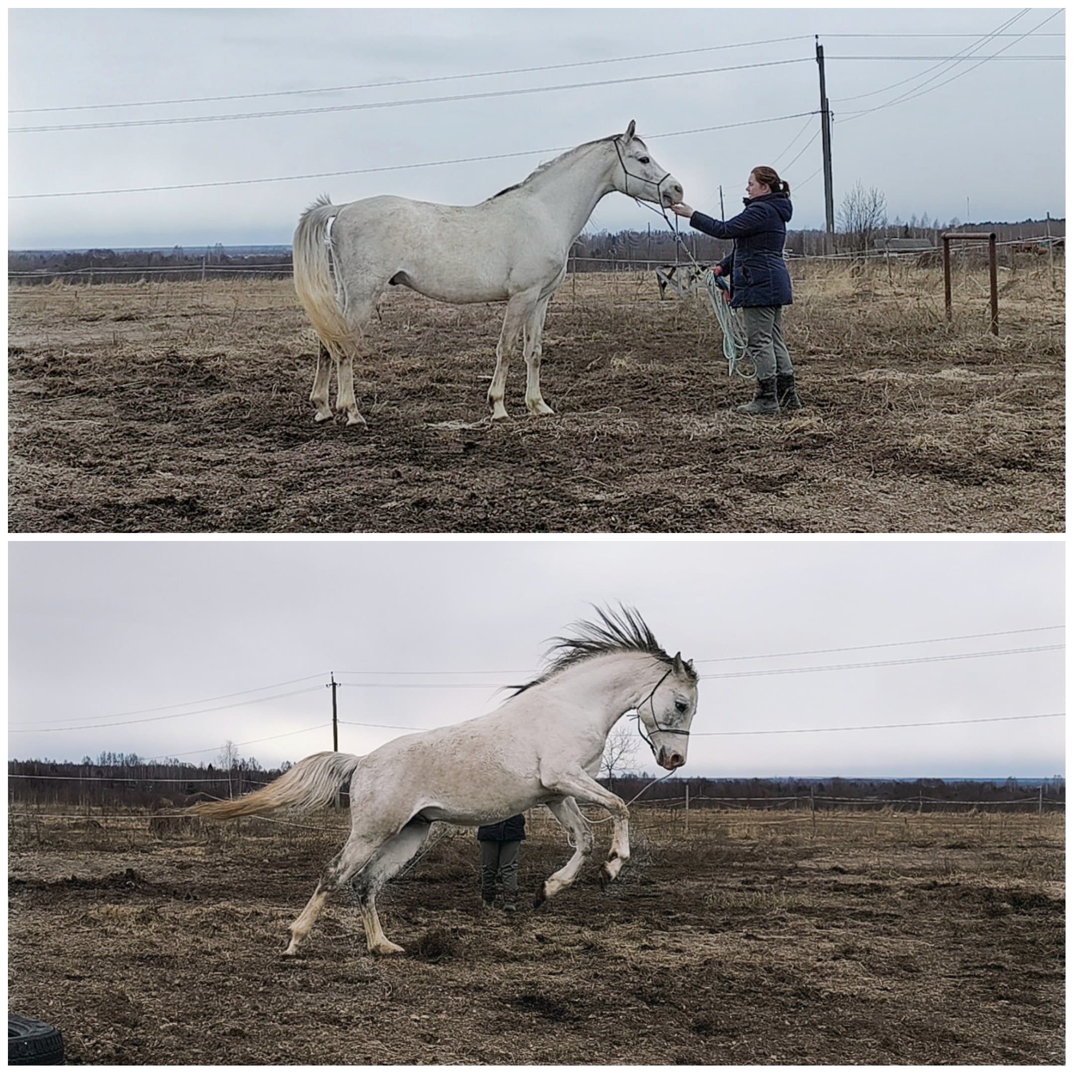 slide-1c5624c3-289e-46a5-9dce-a5b8cc3d74ad