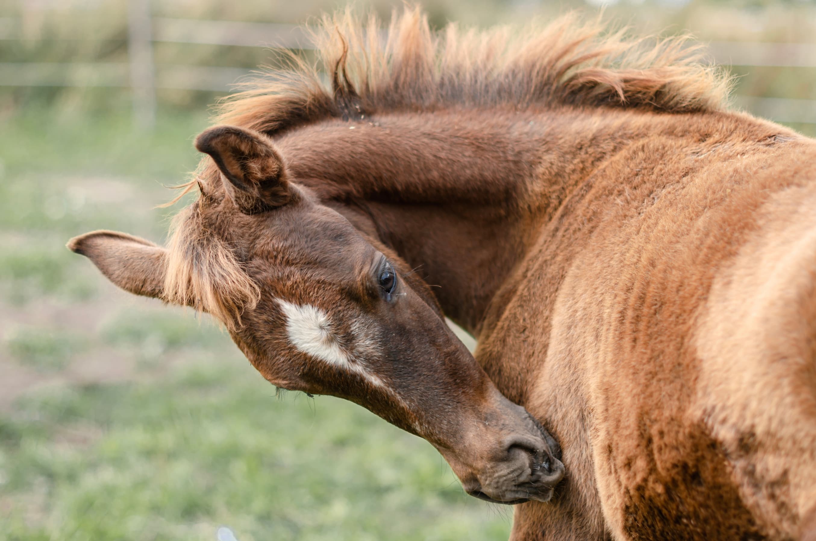 slide-20824b84-e684-47ec-b07e-738cf5a880ac