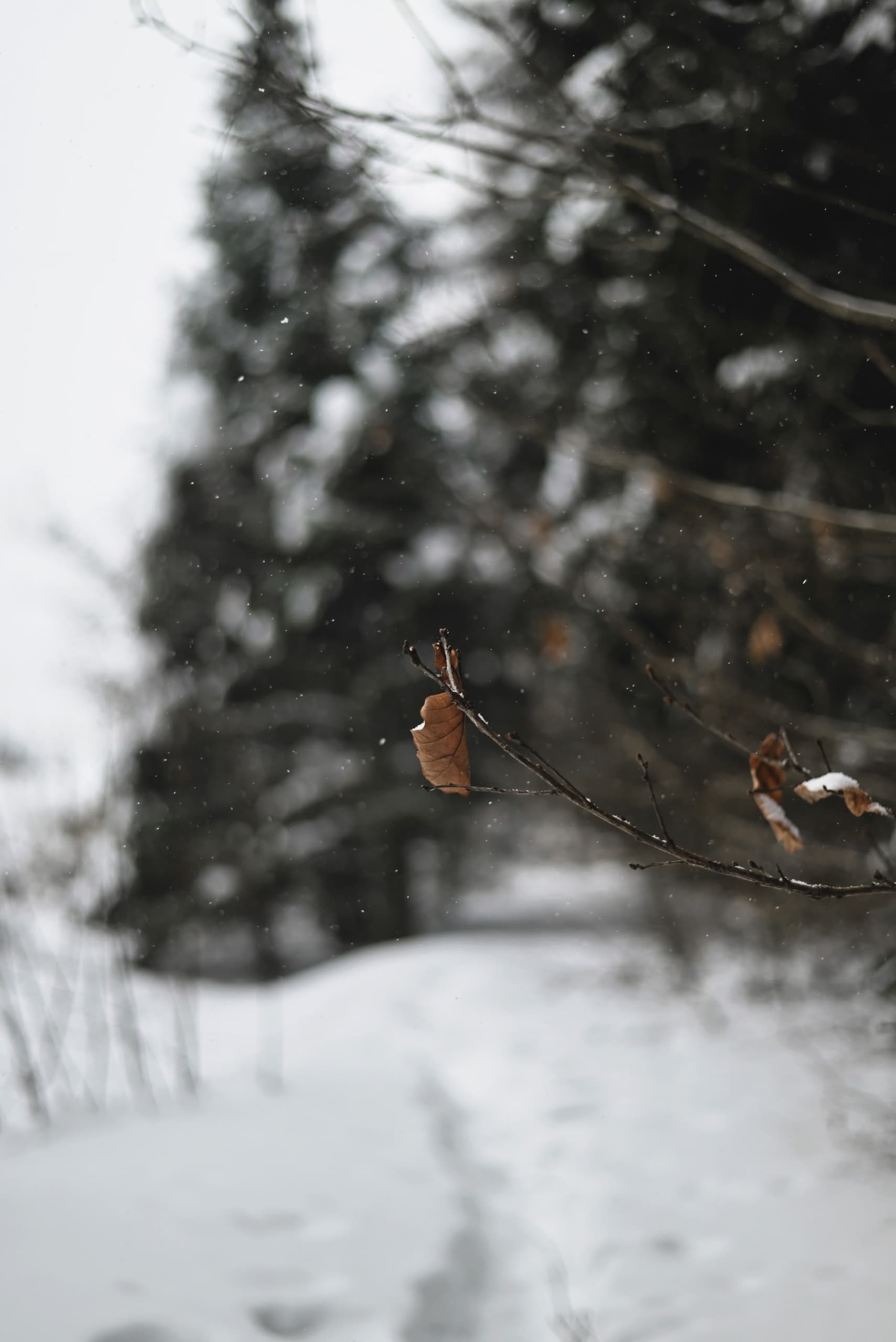 slide-2e2fa680-48f9-423f-a919-90b4bc944e56