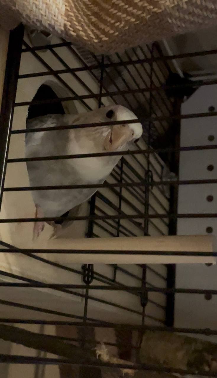 slide-2e520654-2fa5-4340-9b29-28bbef9a08e8