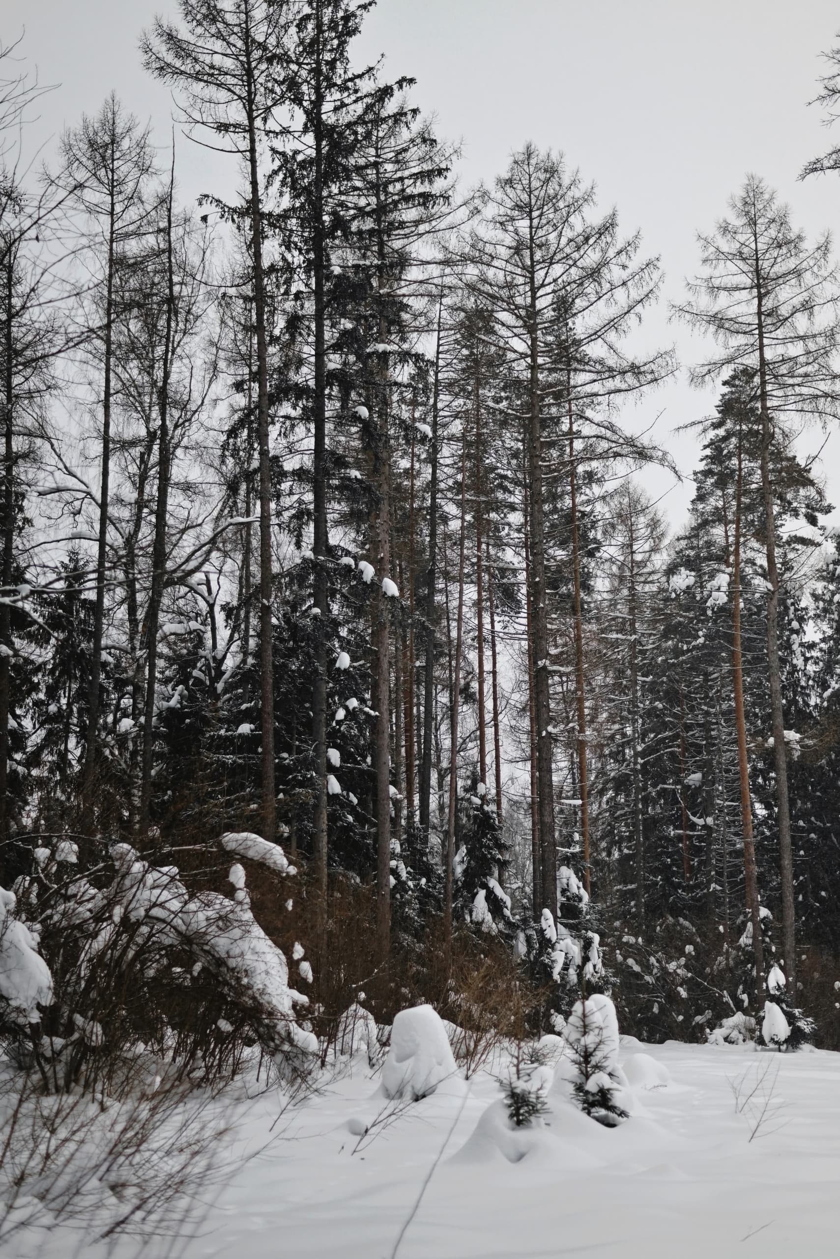 slide-4f0590a7-6420-4e2b-854c-8172a905814f