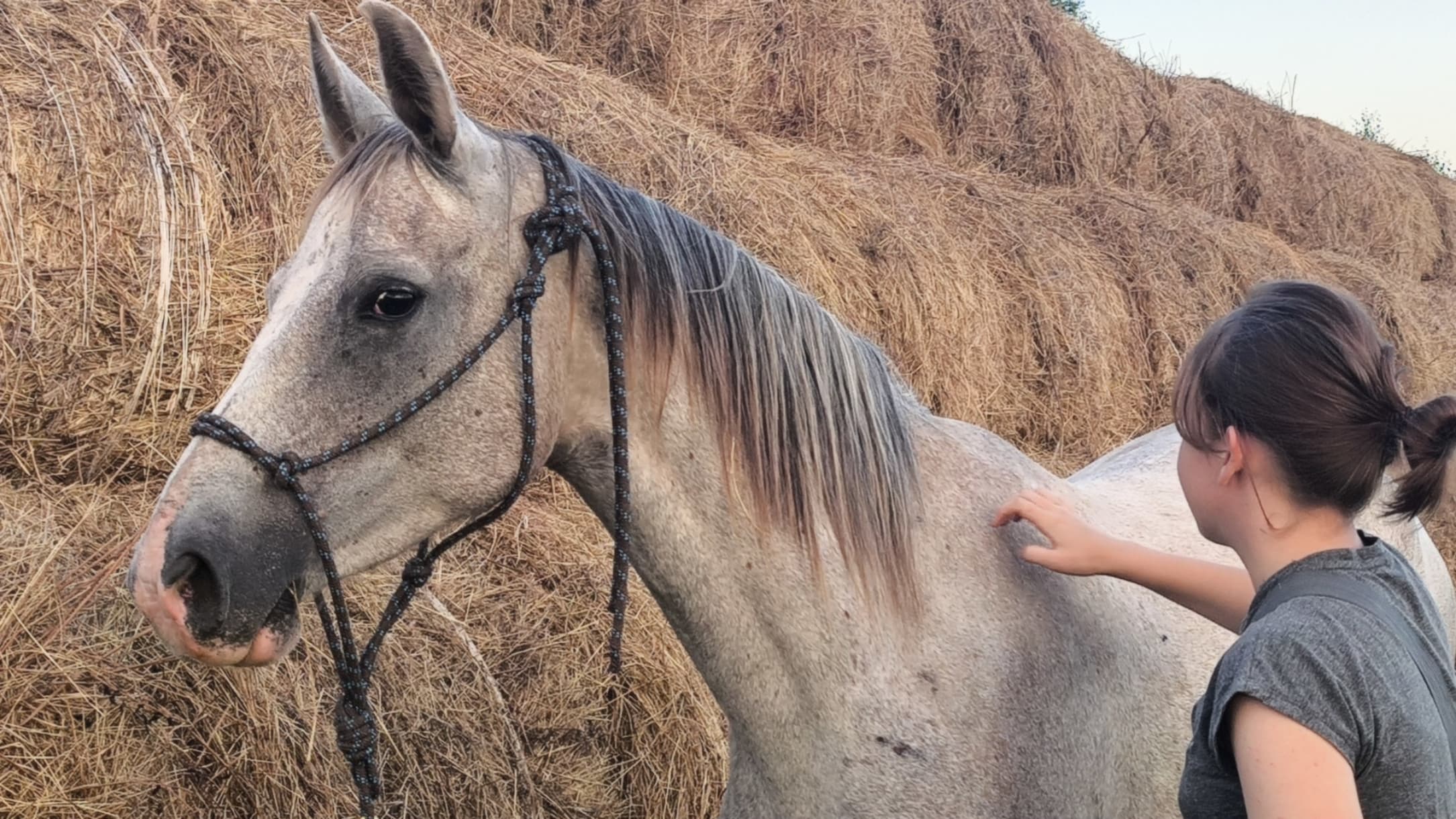 slide-8cd7a77e-2945-4afa-ae96-f50cdcd9b823