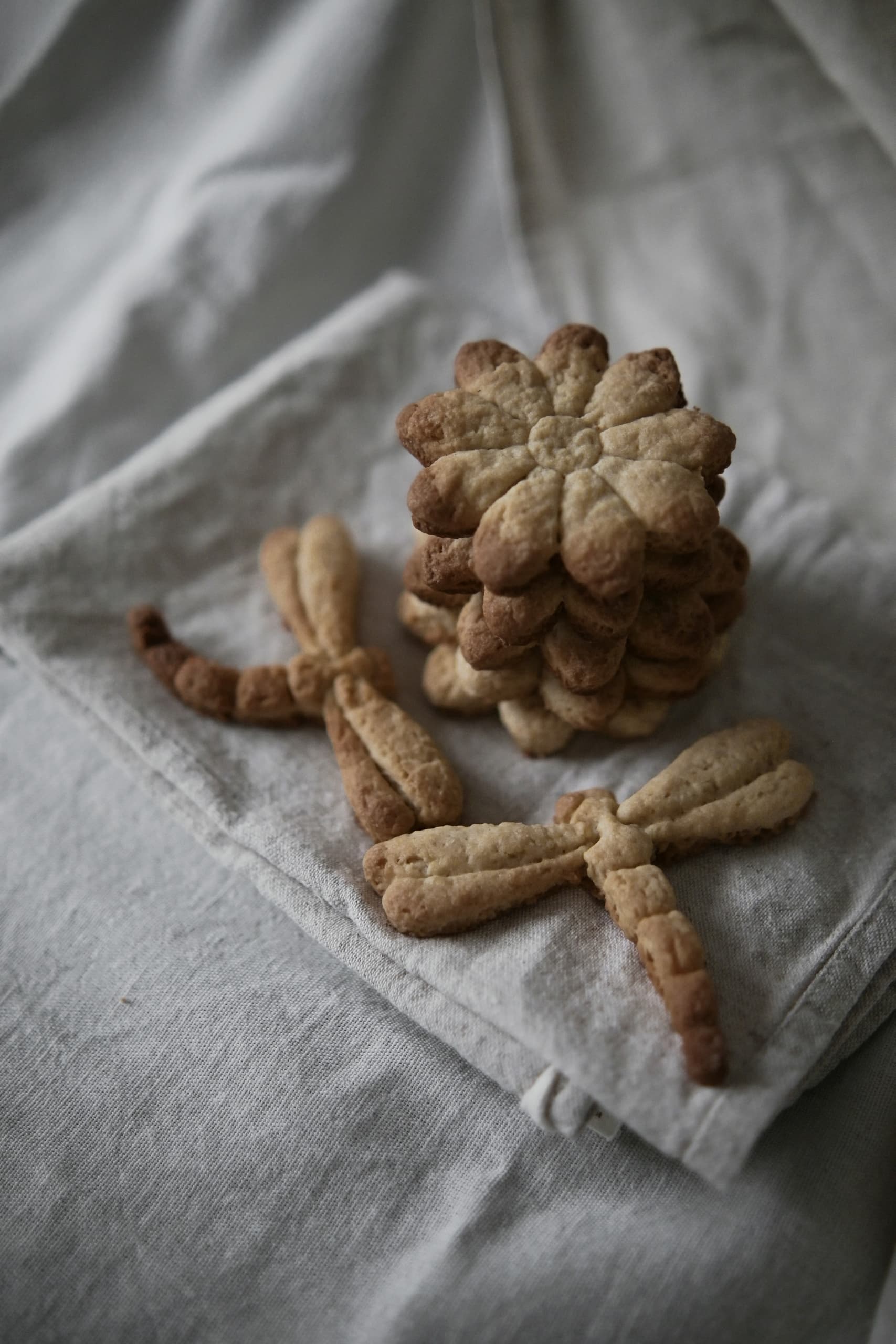 slide-a1268c9e-fbb2-4f11-a9ea-16c201767aad