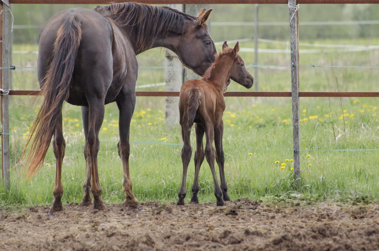 slide-cdcd2ae9-4fd2-4313-8bb6-f2ff694e084a