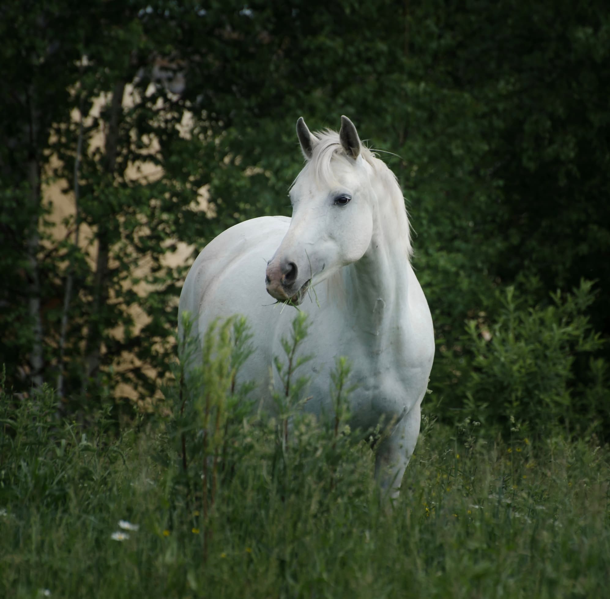 slide-ec78274a-3d57-4dc3-b679-b65bb351fed9